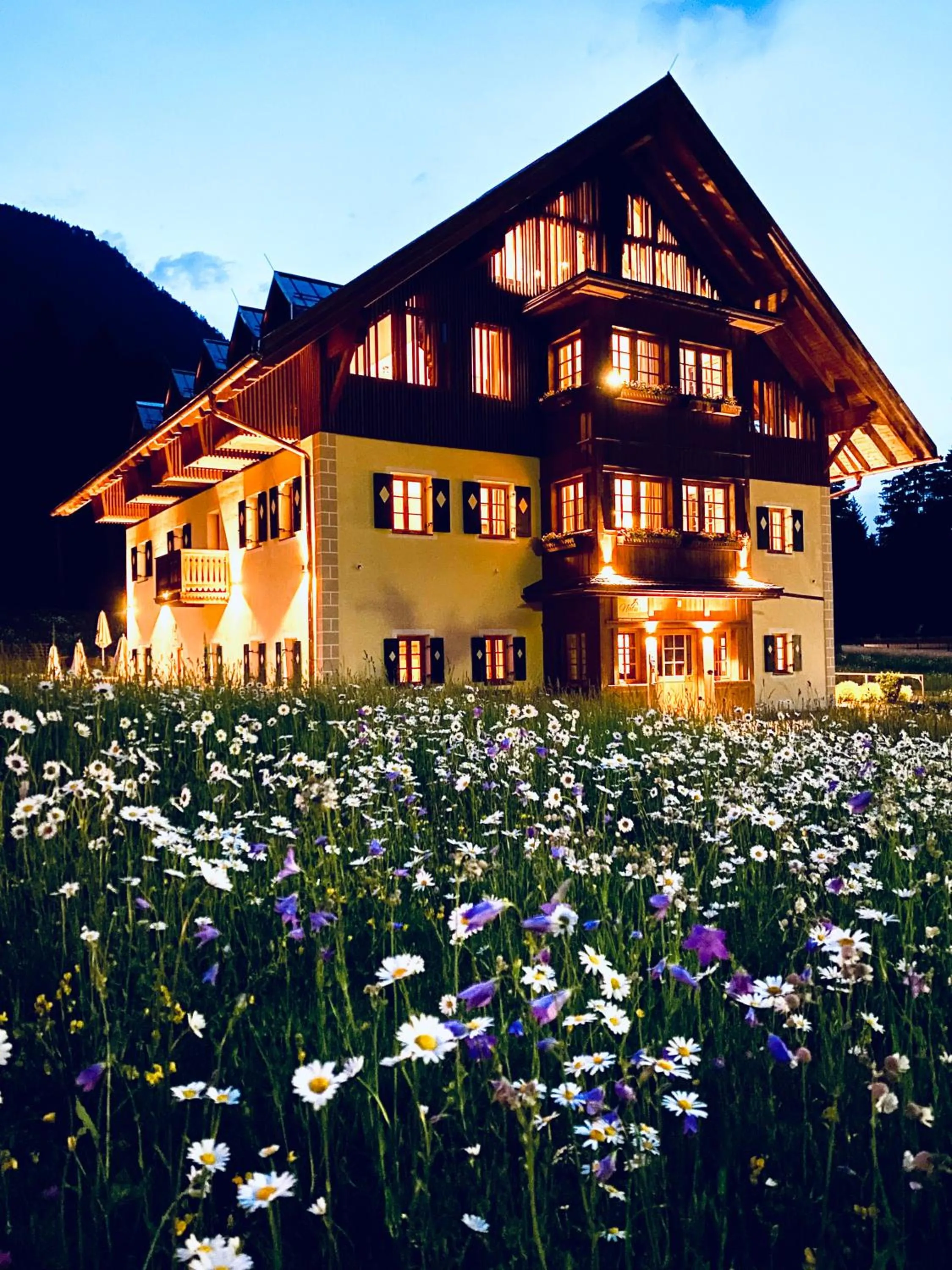 Natura Boutique Chalet Wellness SPA