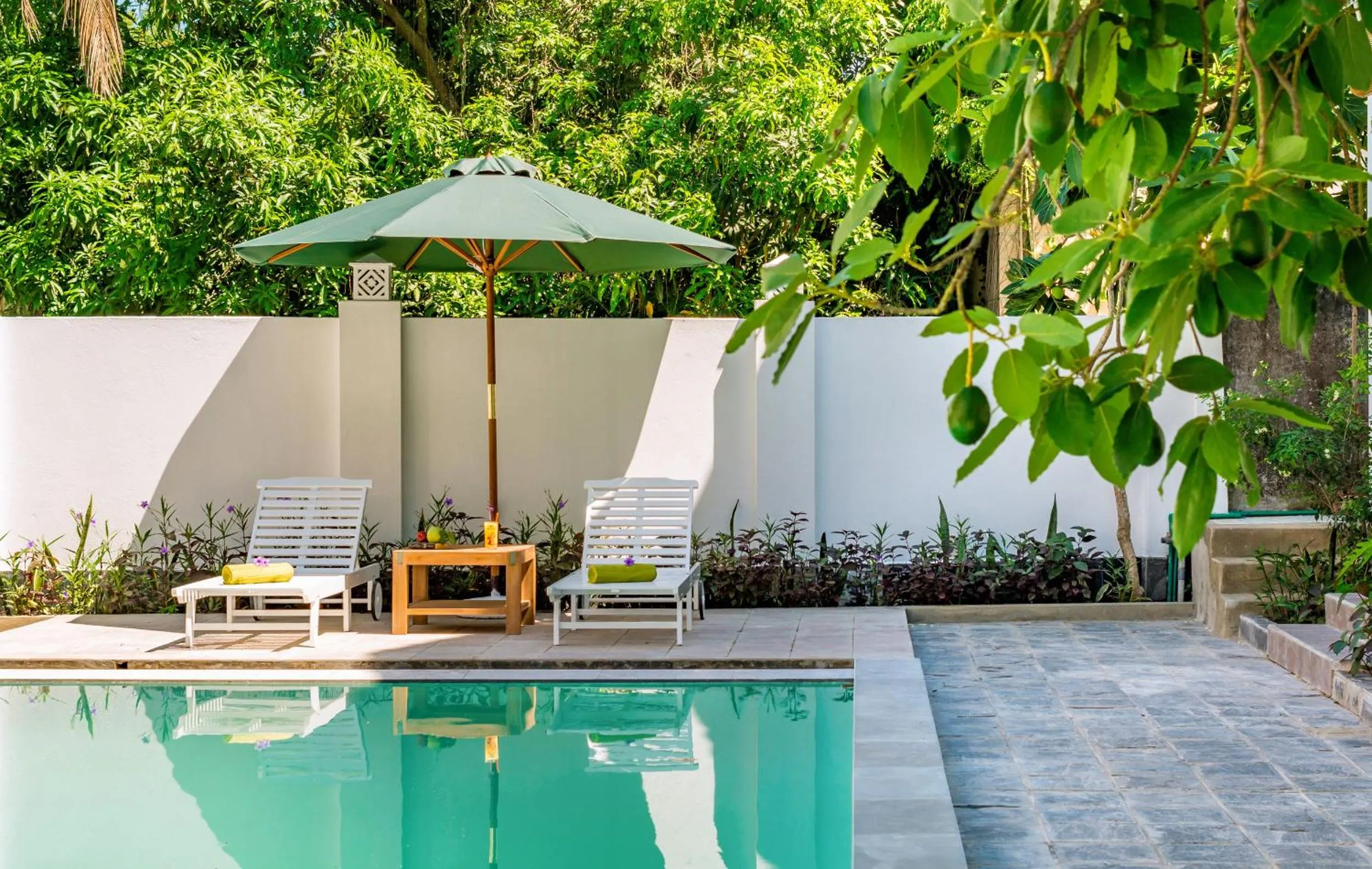 Swimming pool in Fig Tree Boutique Villa
