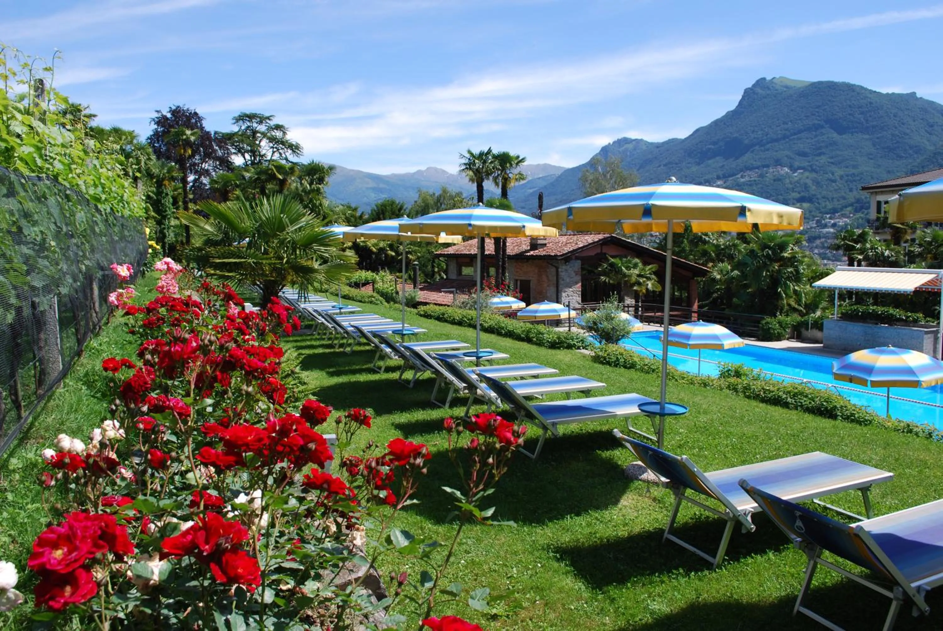 Garden in Hotel&Hostel Montarina