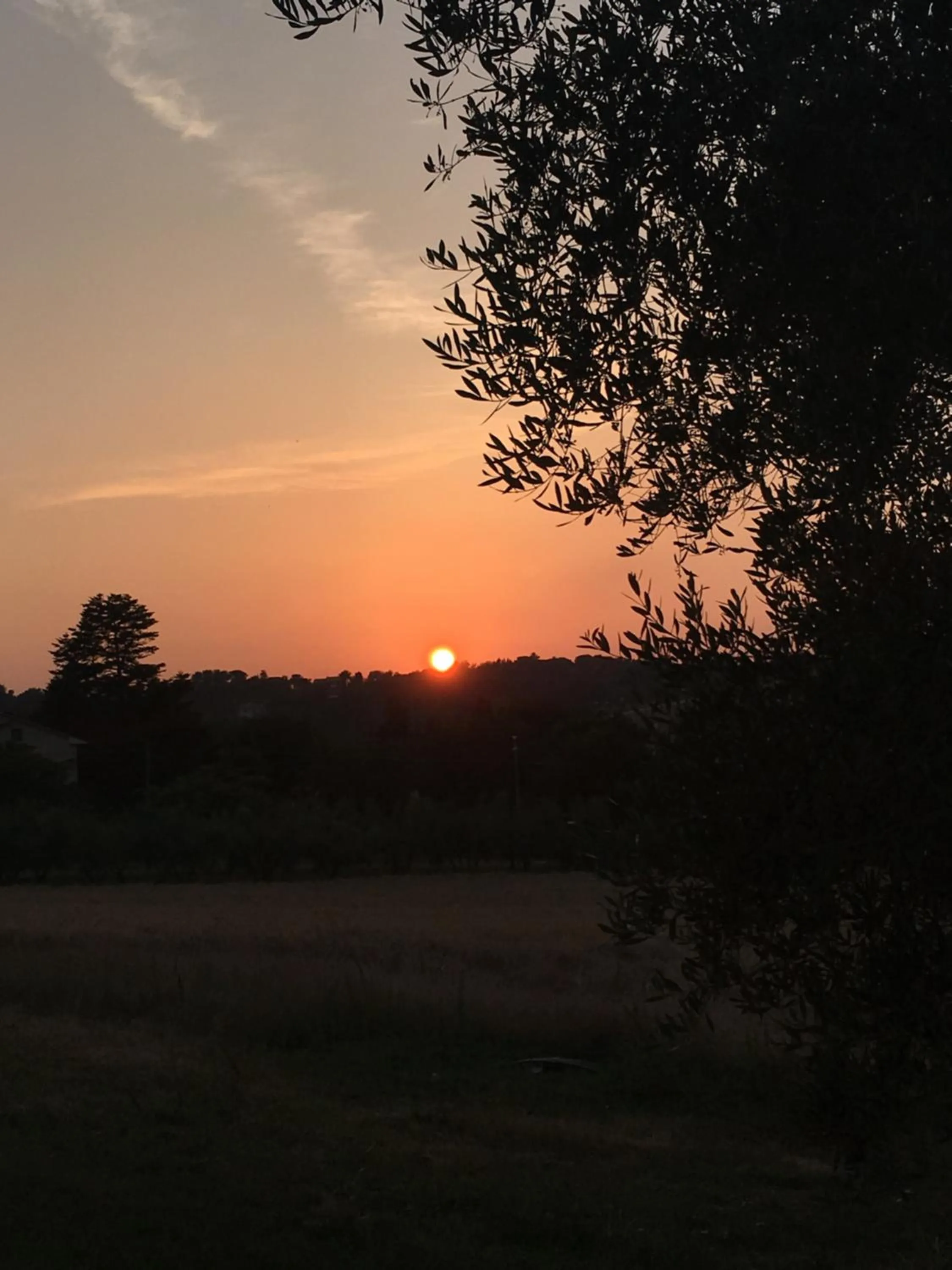 View (from property/room) in La Goiaba B&B