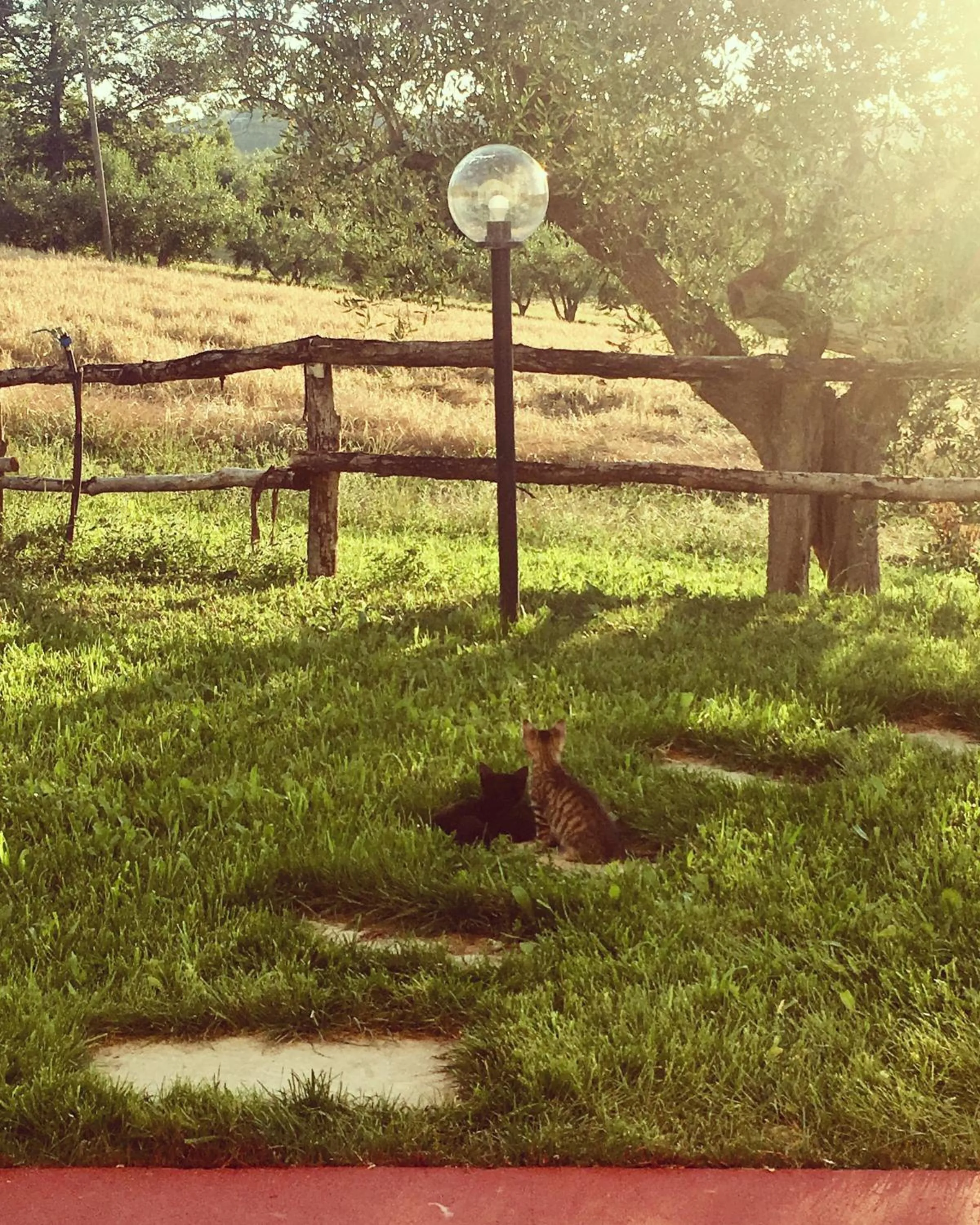 Garden view in La Goiaba B&B