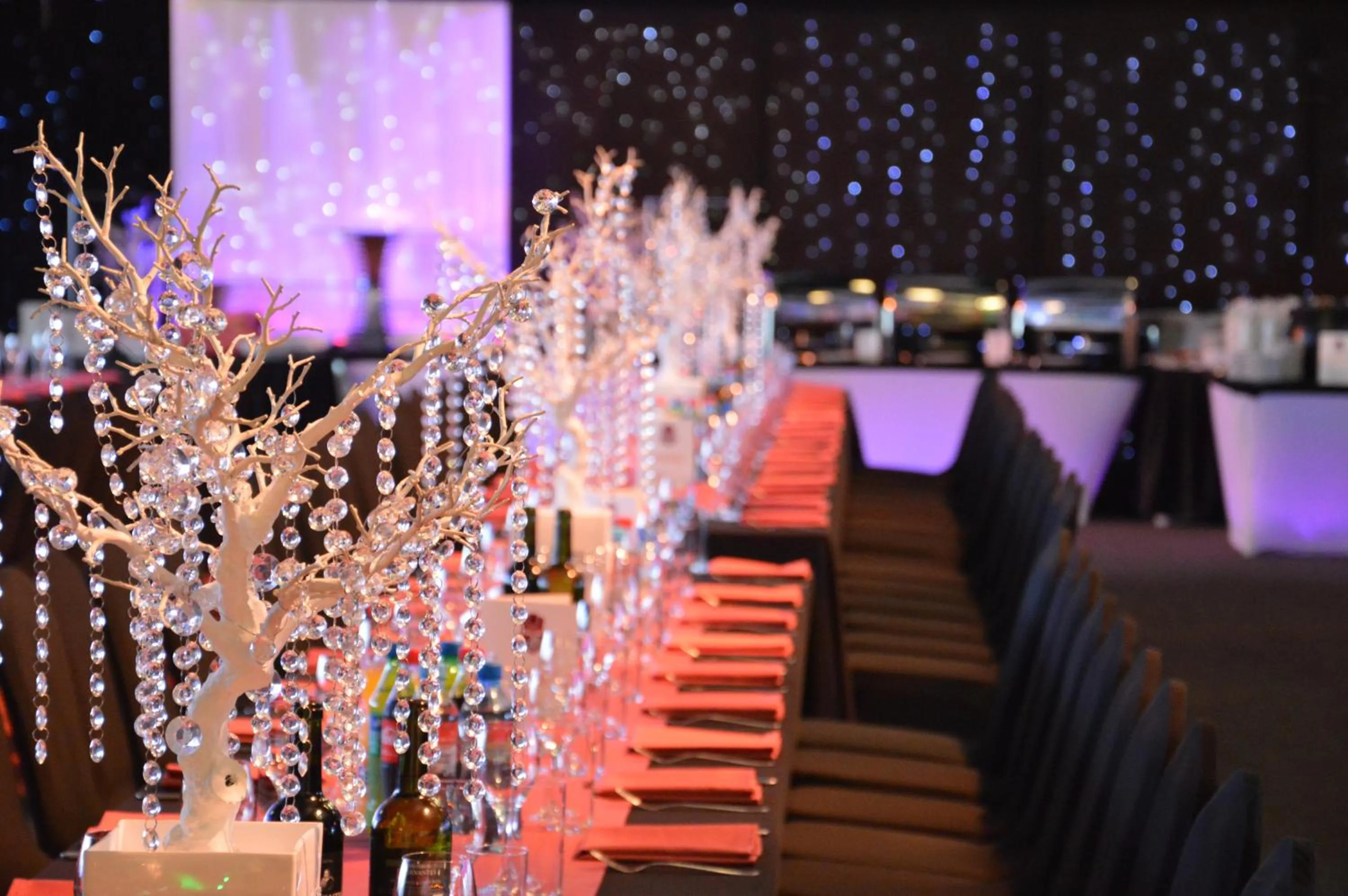 Banquet/Function facilities in Hotel Batory