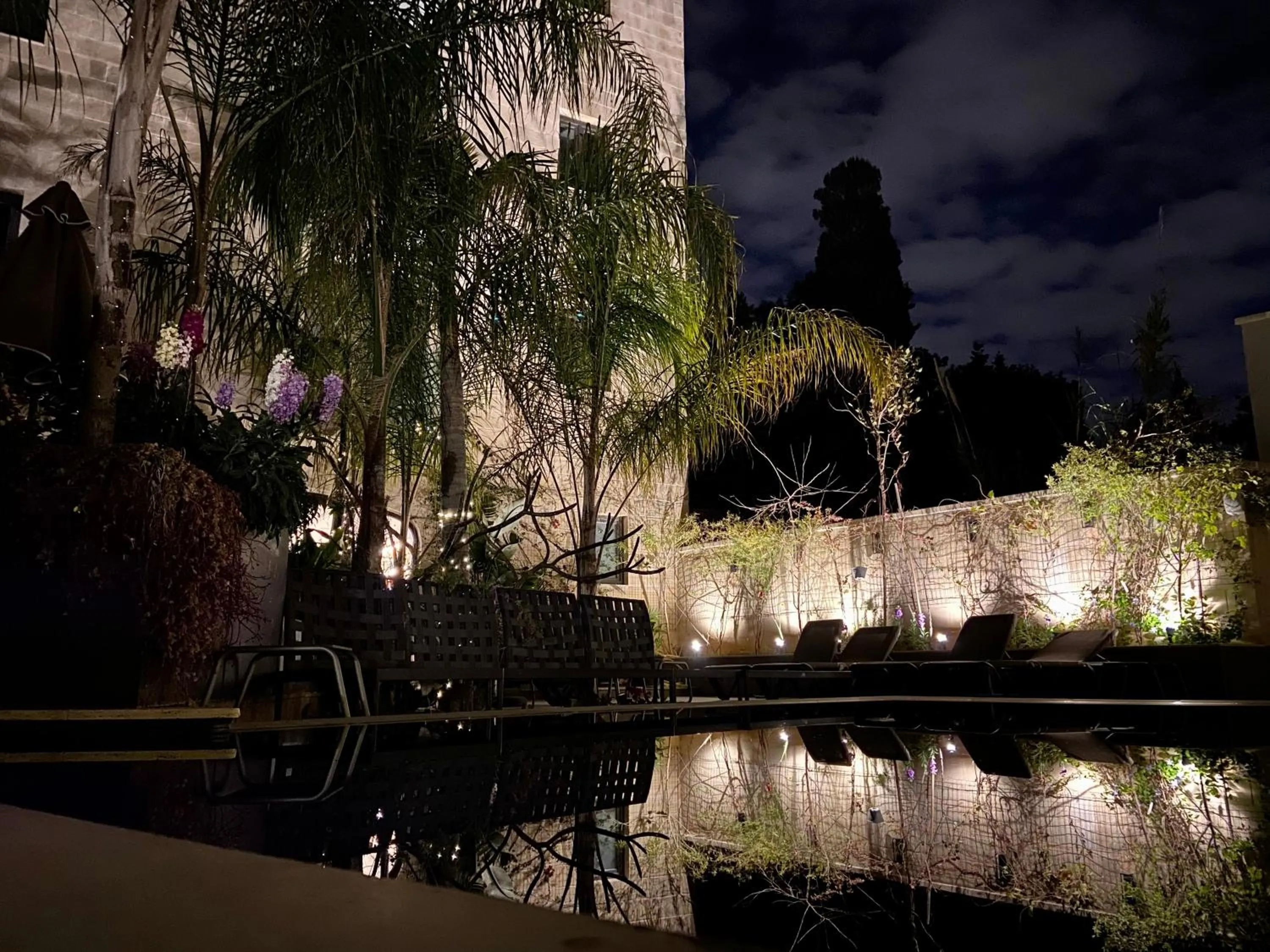 Garden in The Village Boutique and SPA