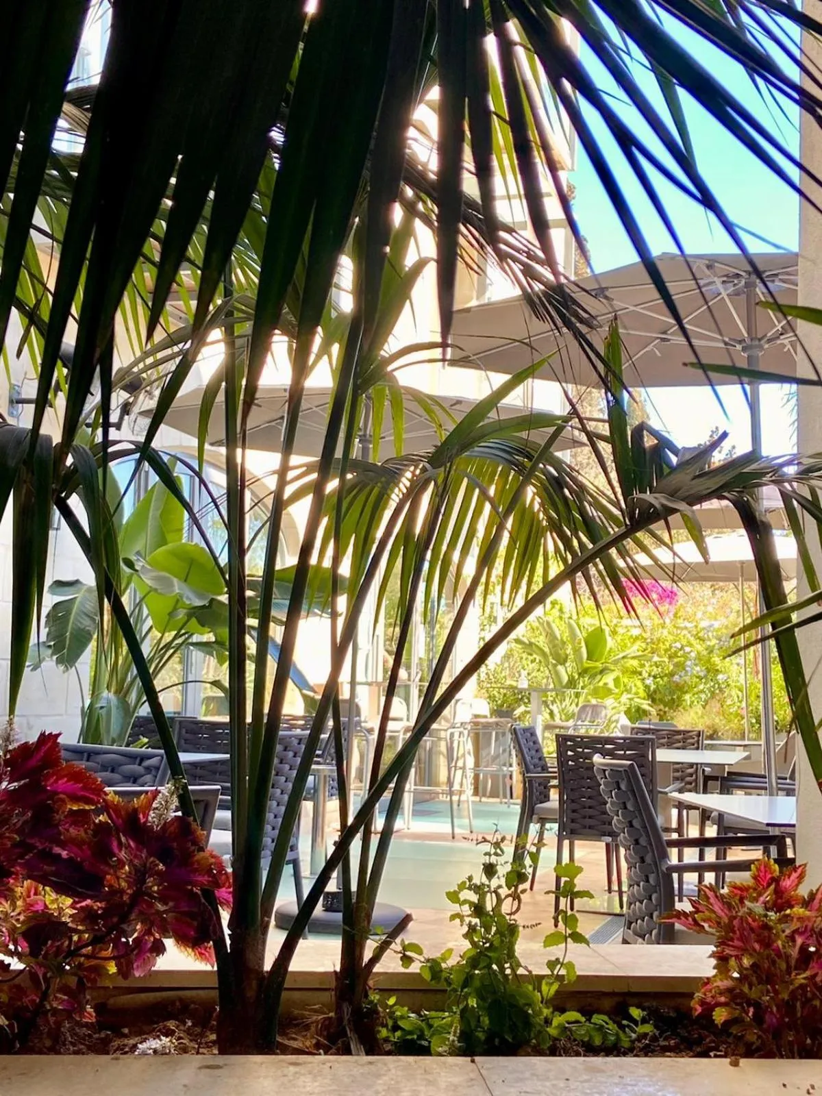 Restaurant/places to eat in The Village Boutique and SPA