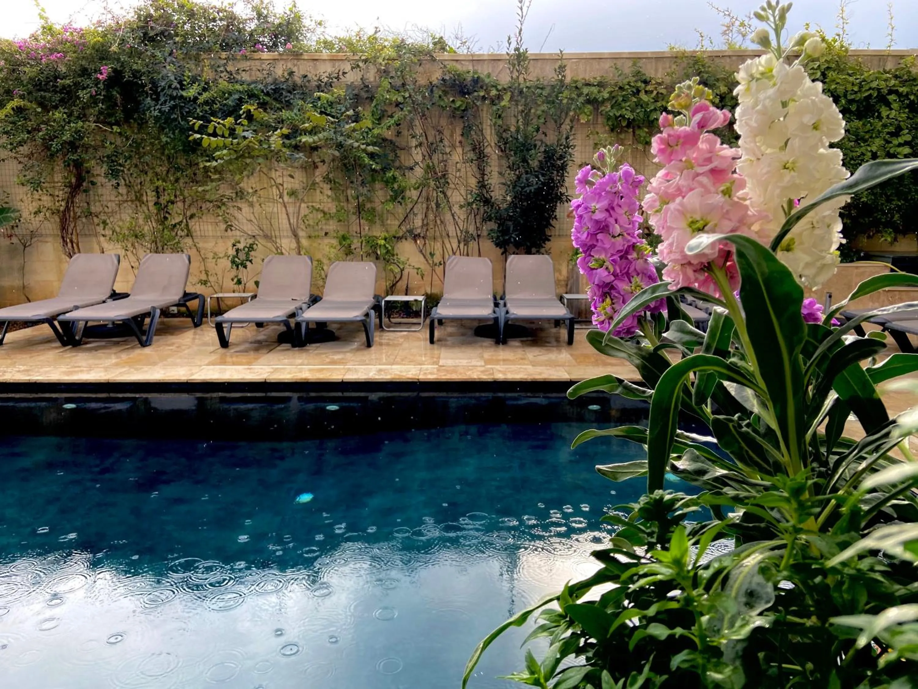 Pool view in The Village Boutique and SPA