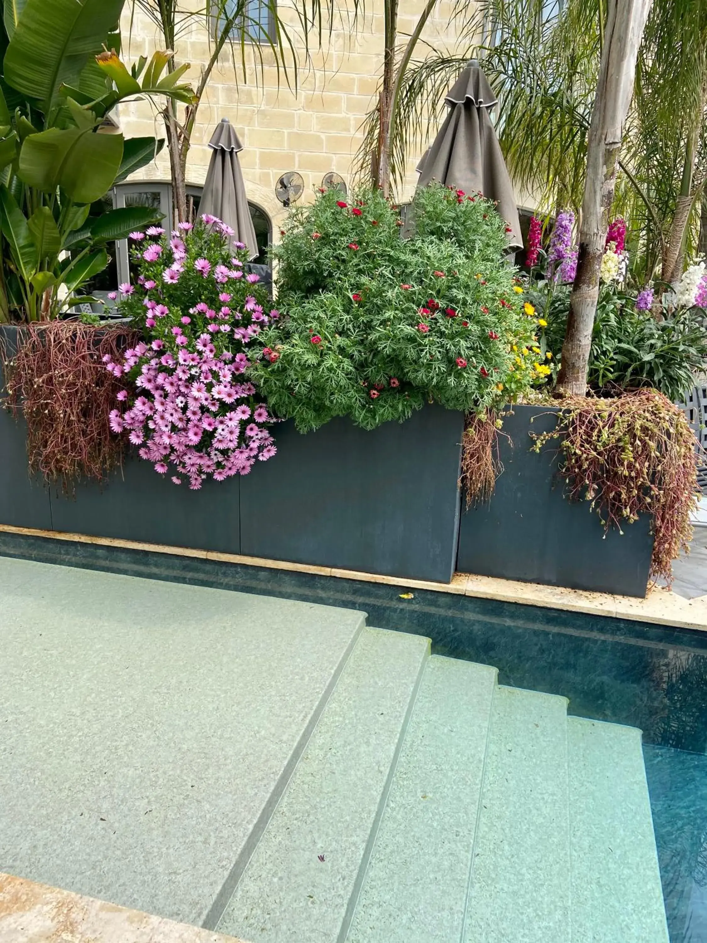 Garden view in The Village Boutique and SPA Garden view in The Village Boutique and SPA