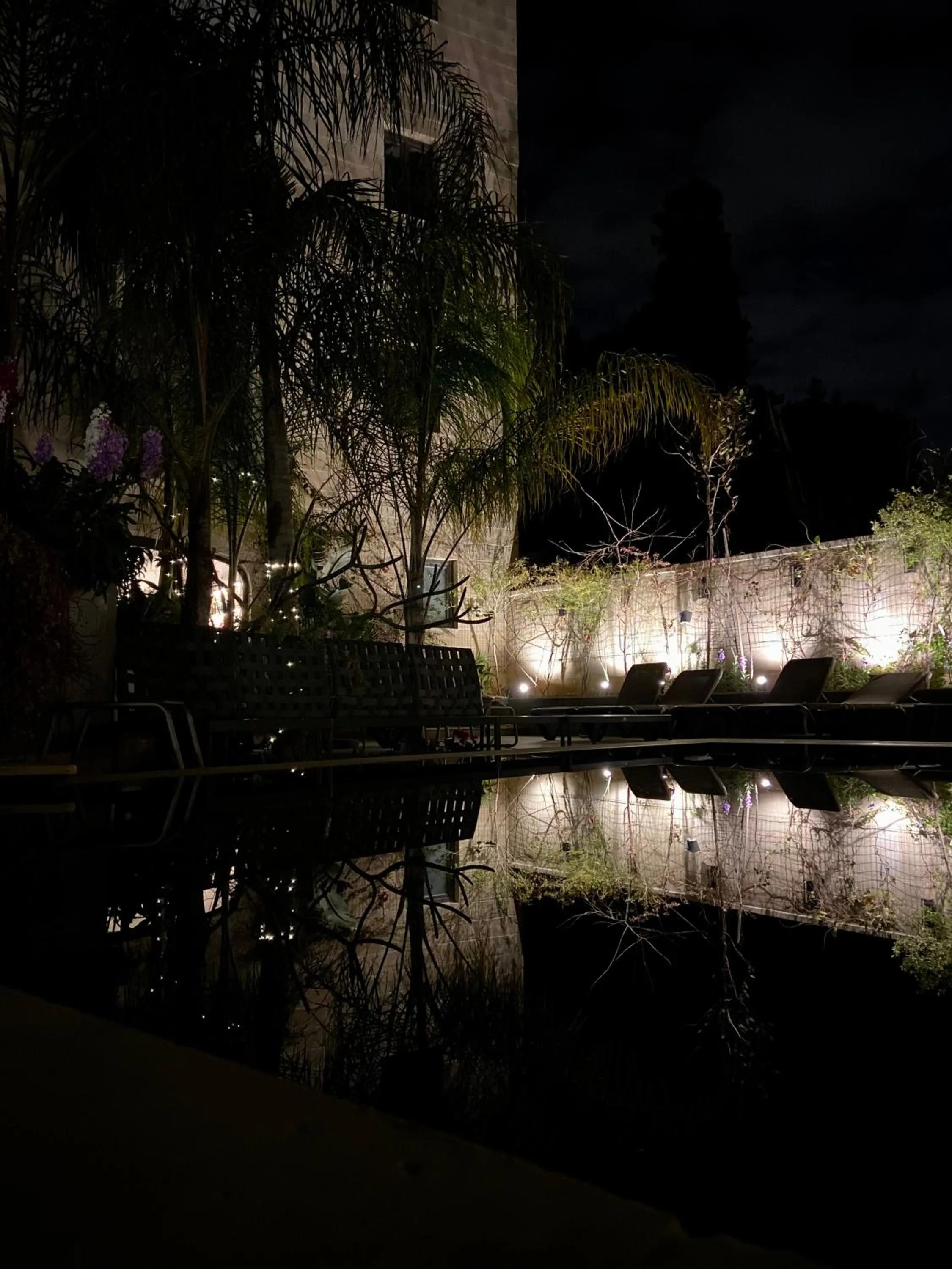 Garden in The Village Boutique and SPA