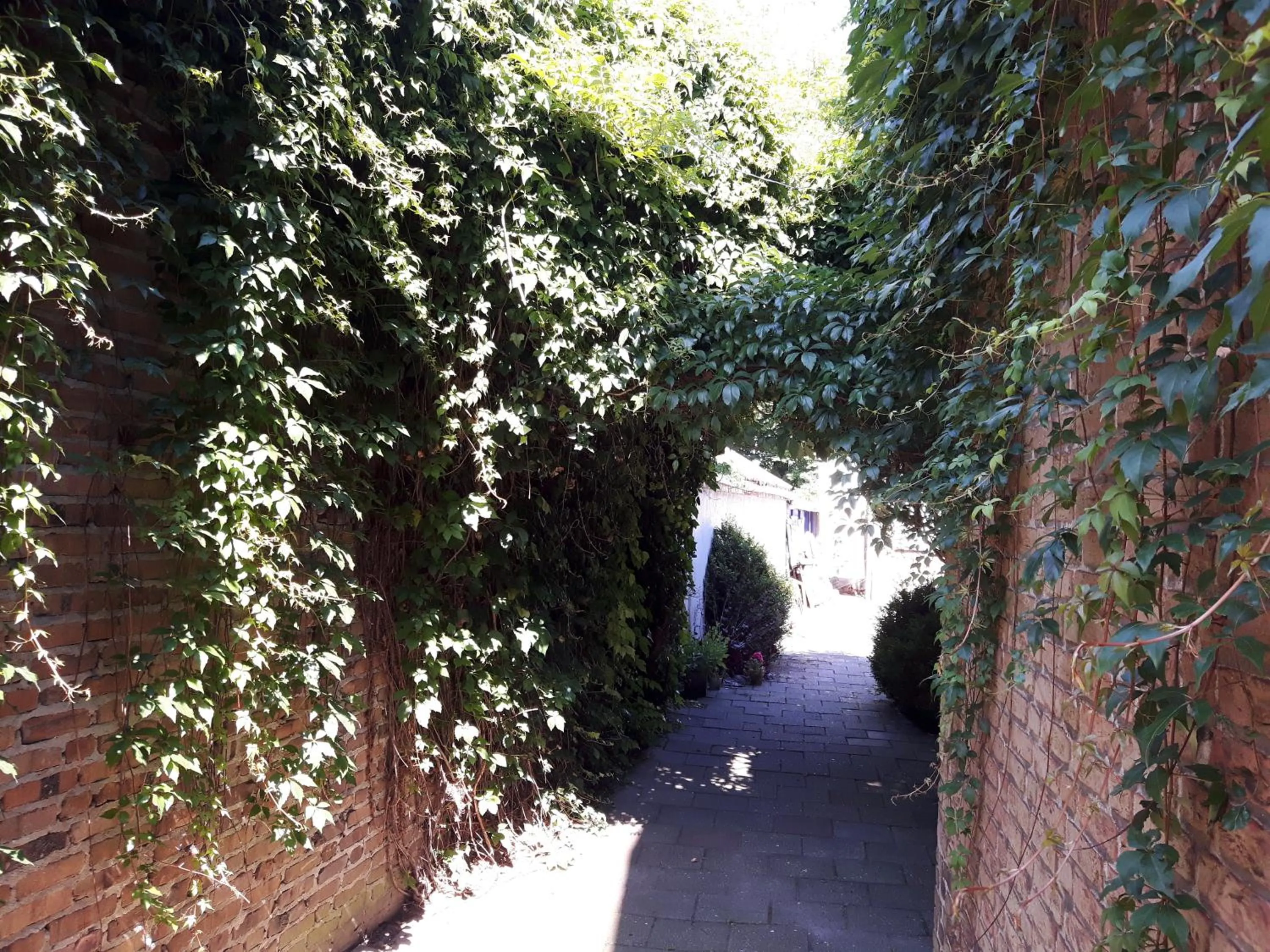 Property building in B&B De Kunstpraktijk