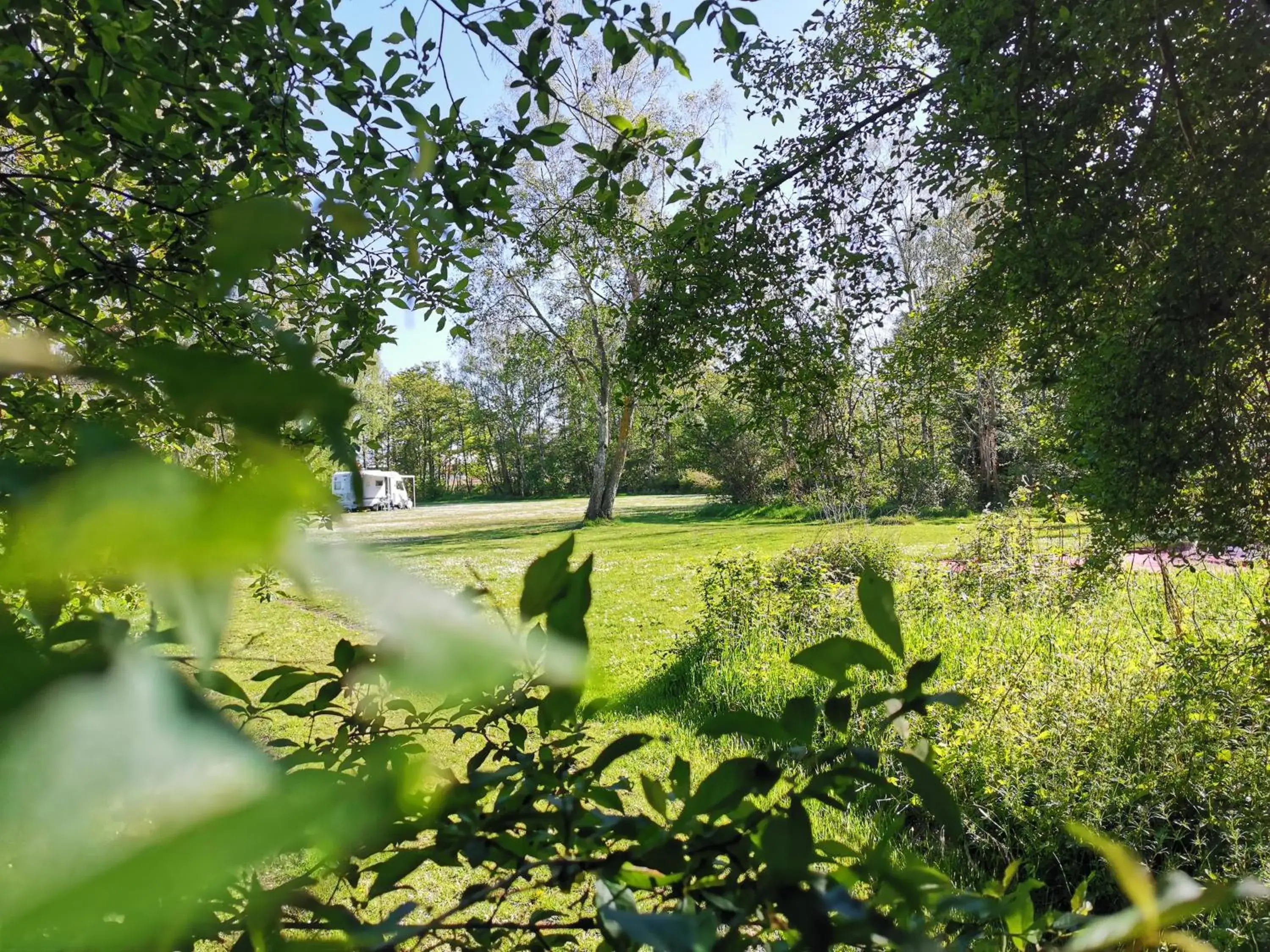 Garden in Frederiksværk Camping & Hostel Garden in Frederiksværk Camping & Hostel