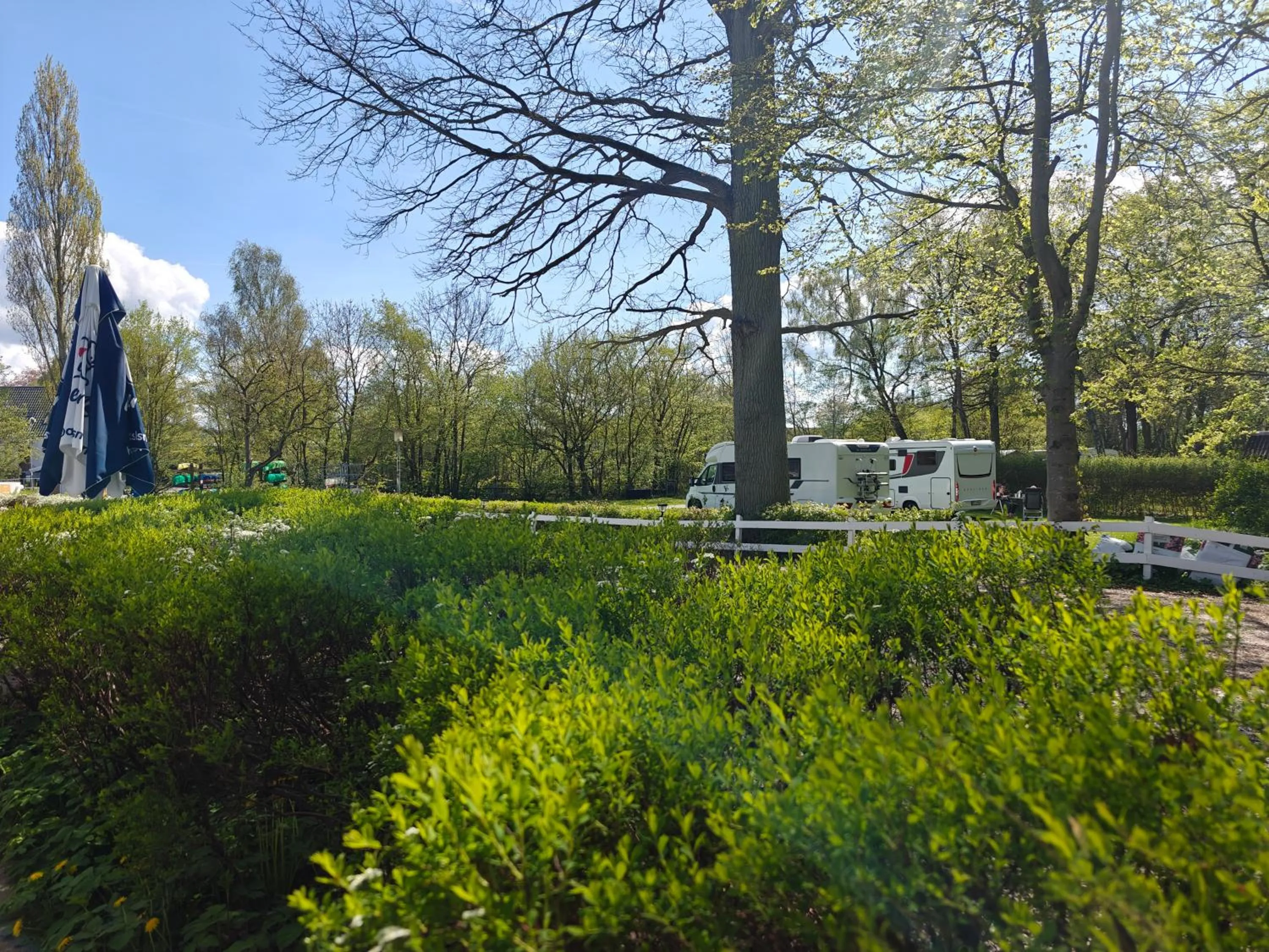 Spring in Frederiksværk Camping & Hostel