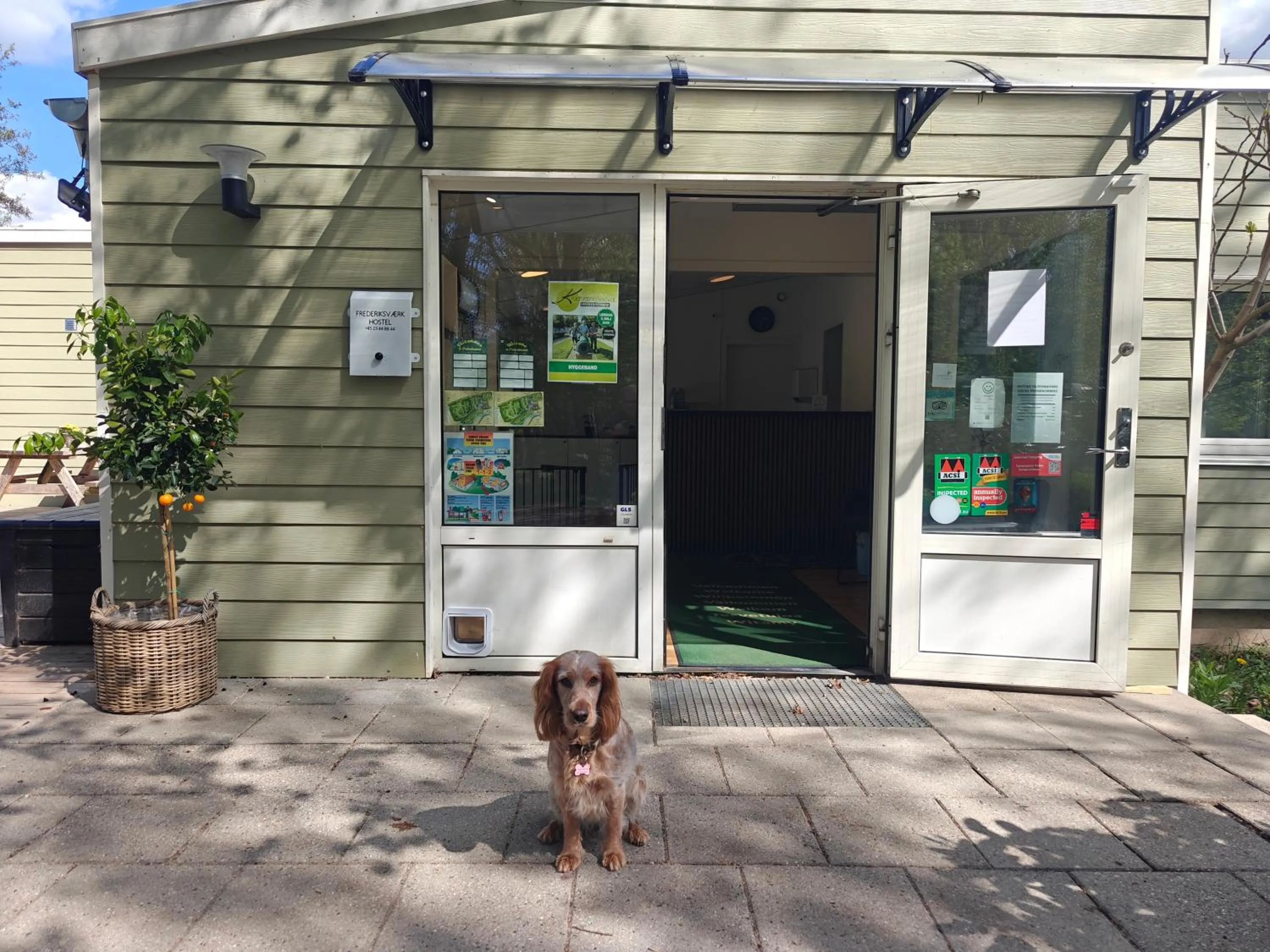 Lobby or reception in Frederiksværk Camping & Hostel