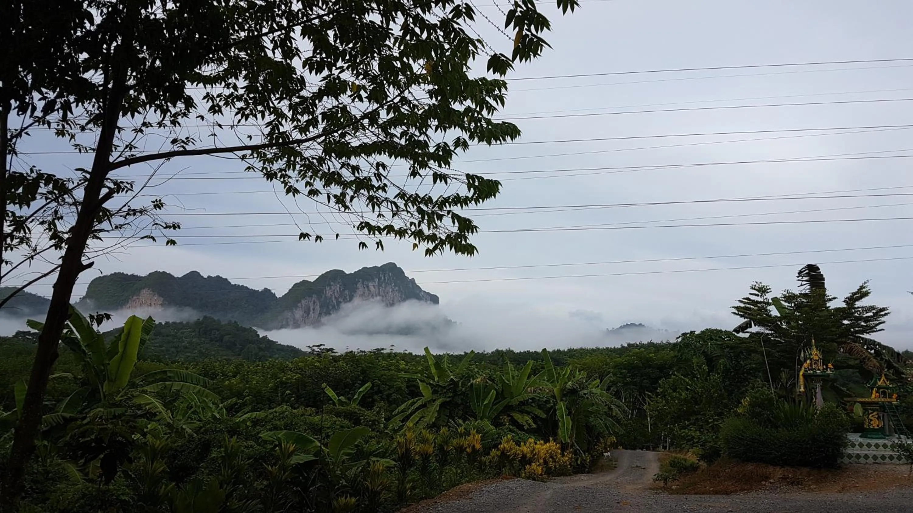 Mountain view in Rai Eingpu