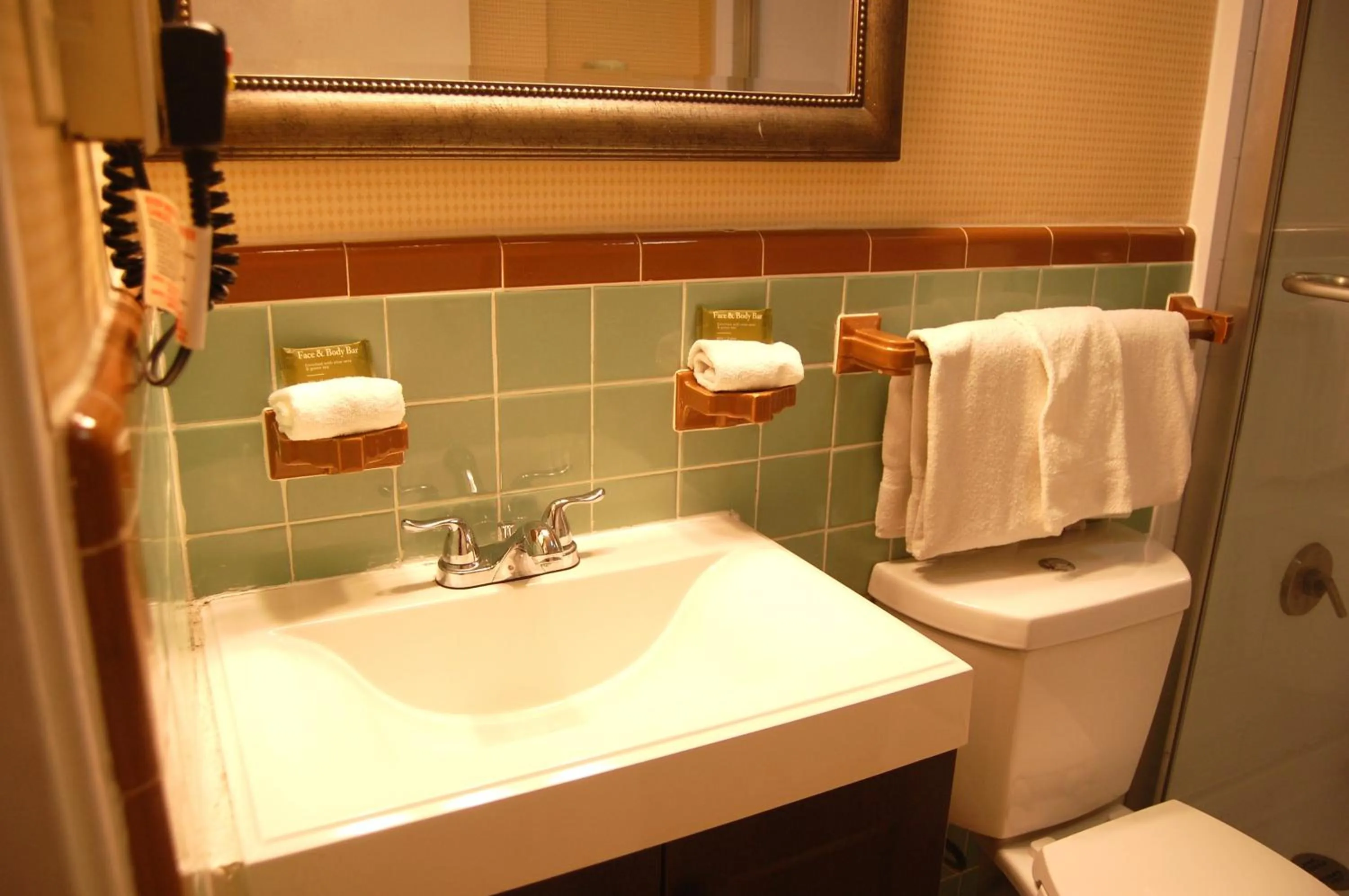 Bathroom in Vacation Lodge
