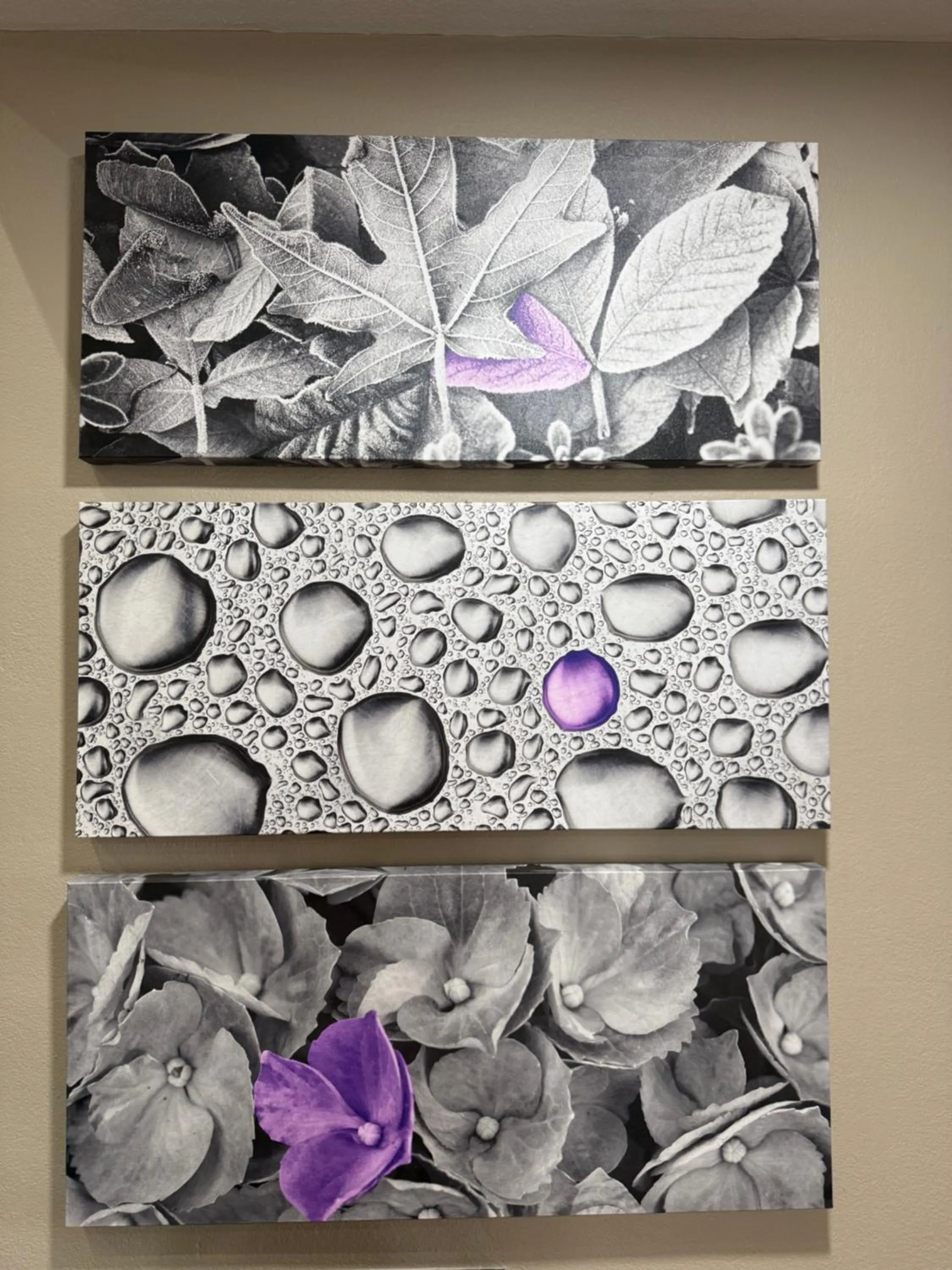 Decorative detail in Sleep Inn Savannah Gateway I-95