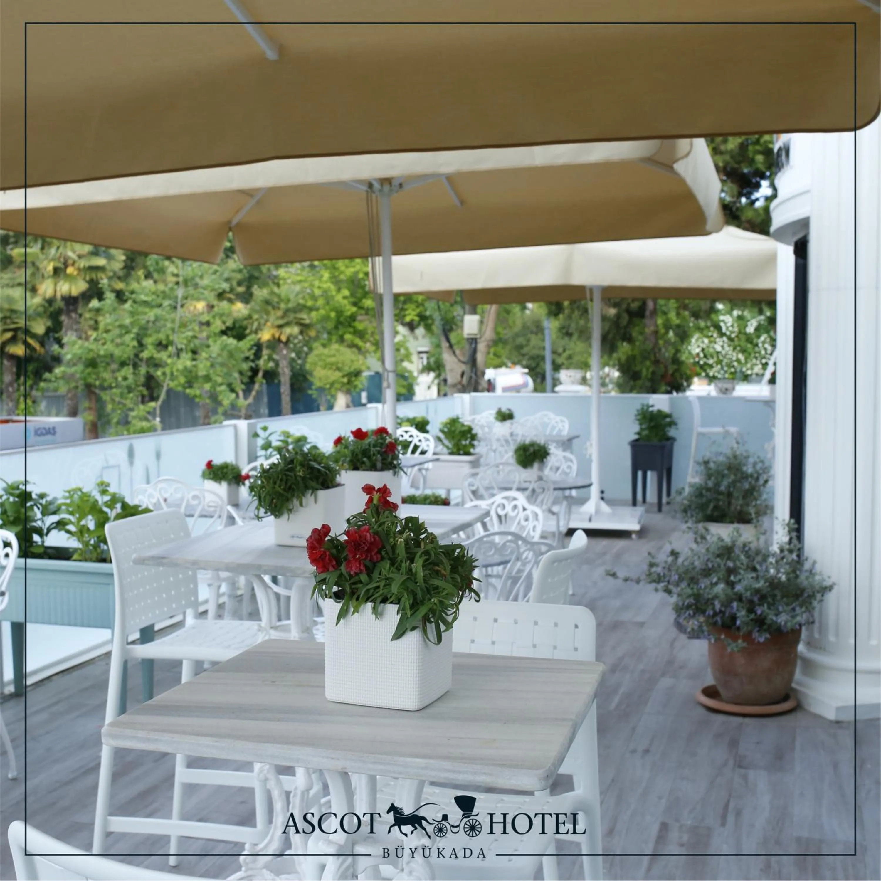 Restaurant/places to eat in Ascot Hotel Büyükada