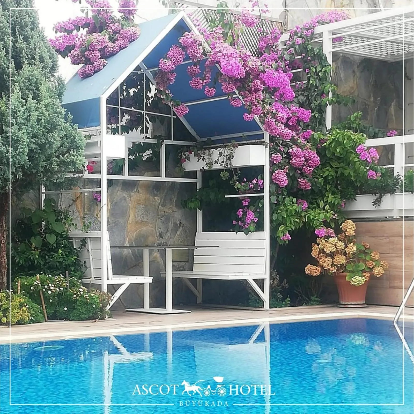 Swimming pool in Ascot Hotel Büyükada