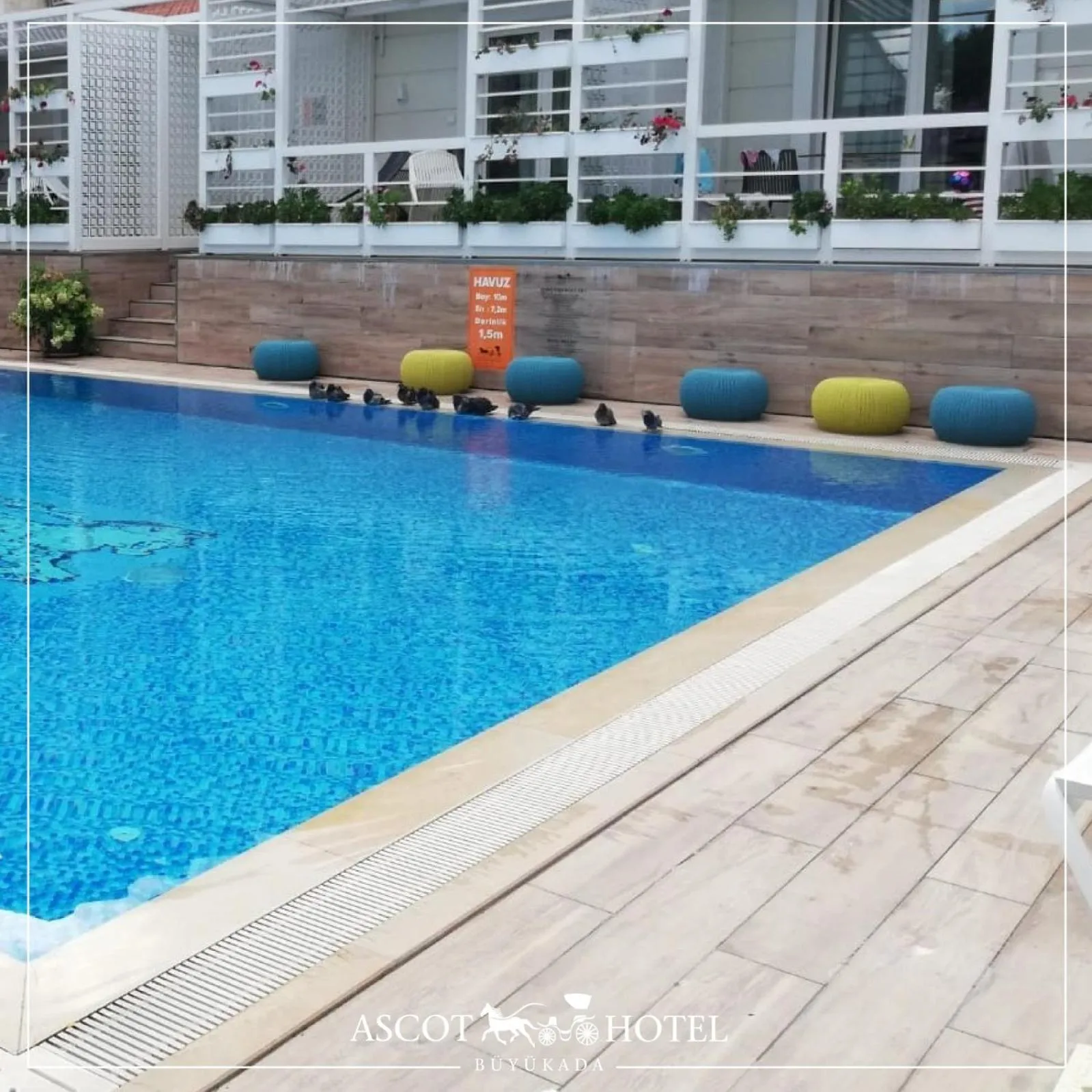 Swimming pool in Ascot Hotel Büyükada