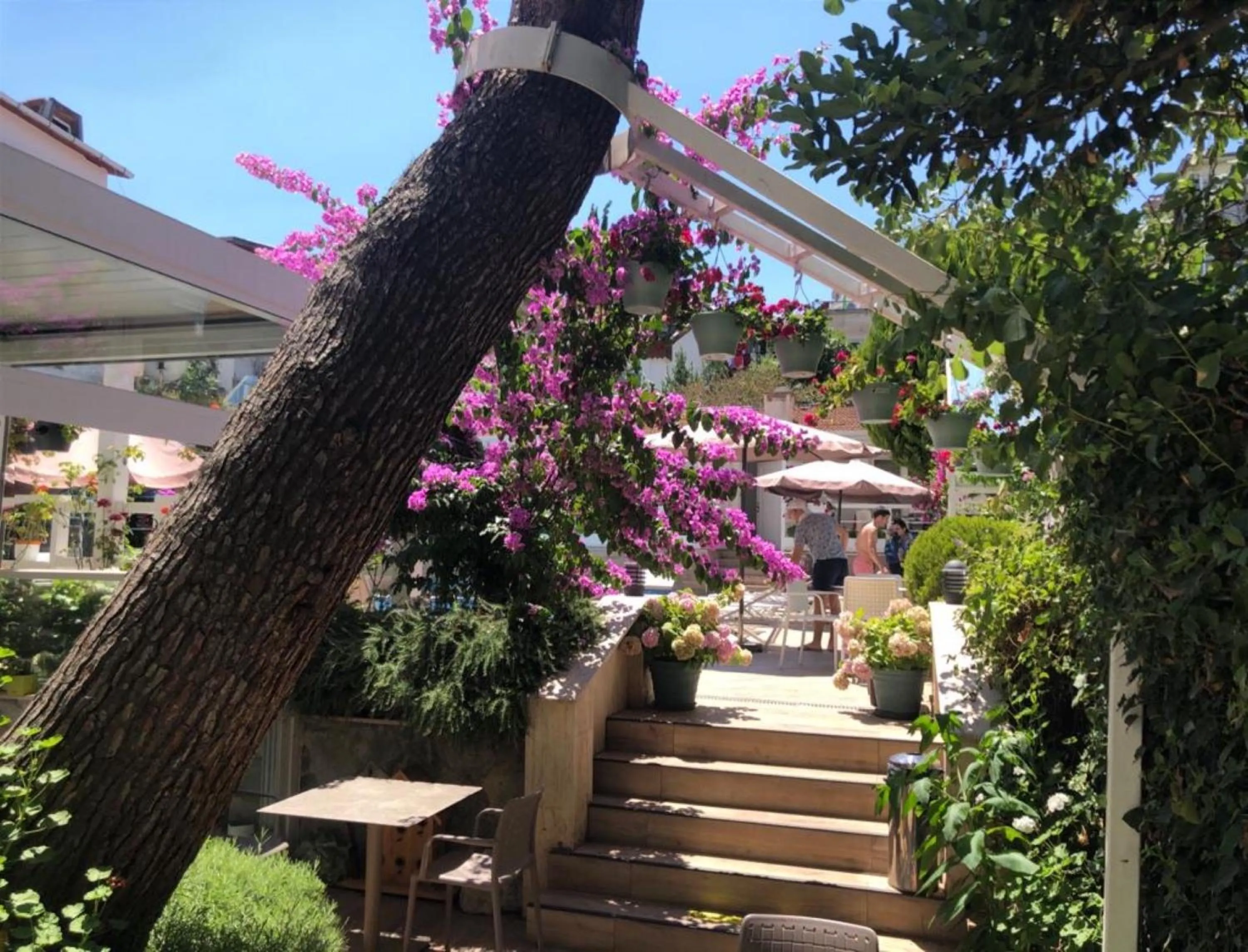 Garden in Ascot Hotel Büyükada