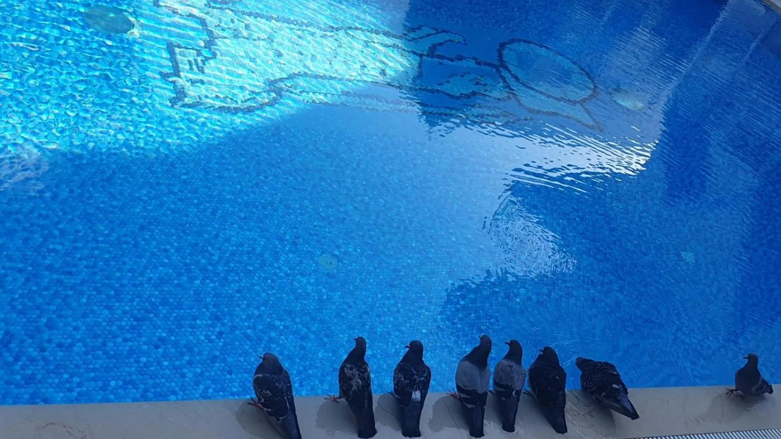 Swimming pool in Ascot Hotel Büyükada