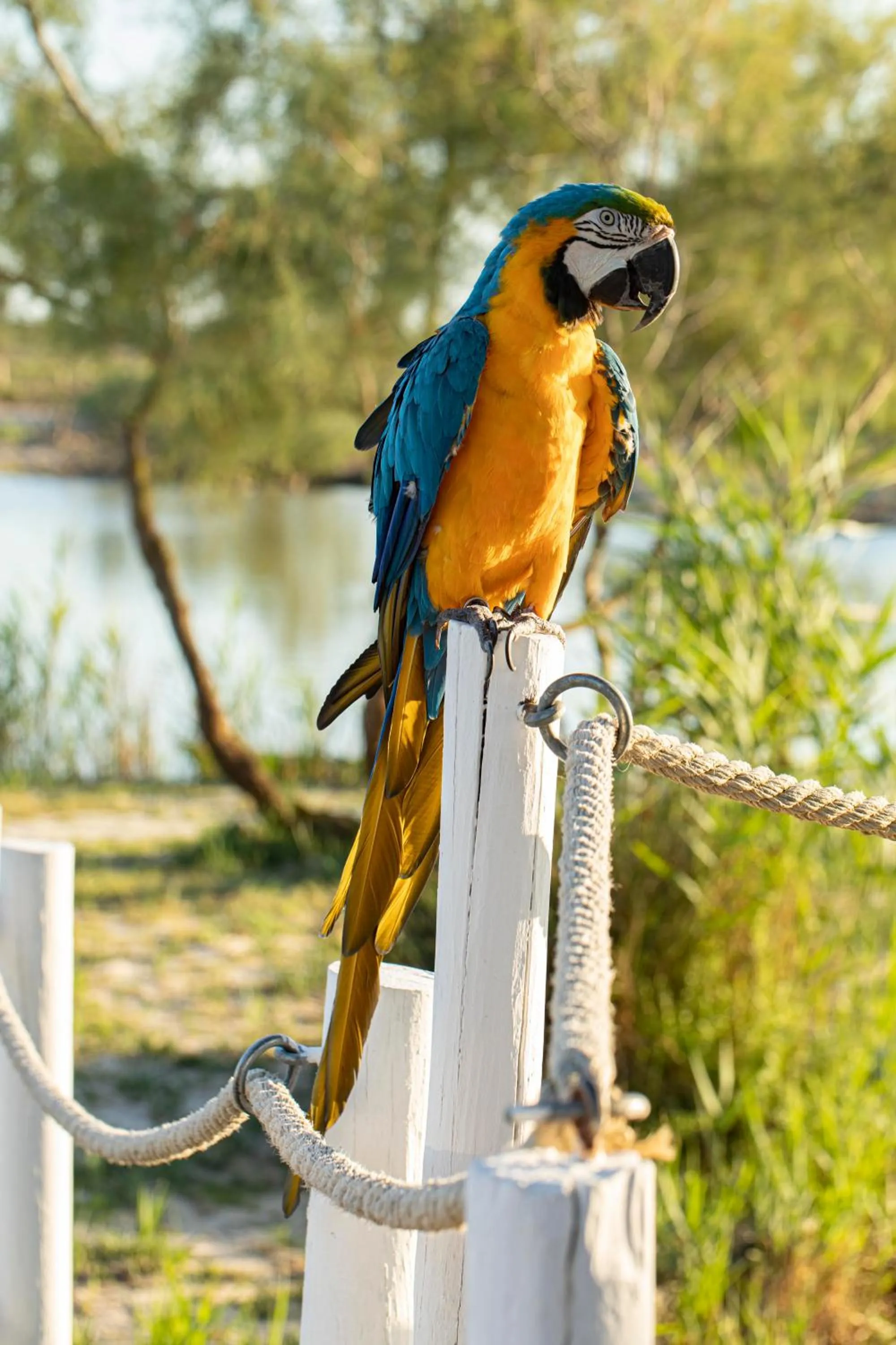 Day in Mas de la Fouque - Hôtel & Spa