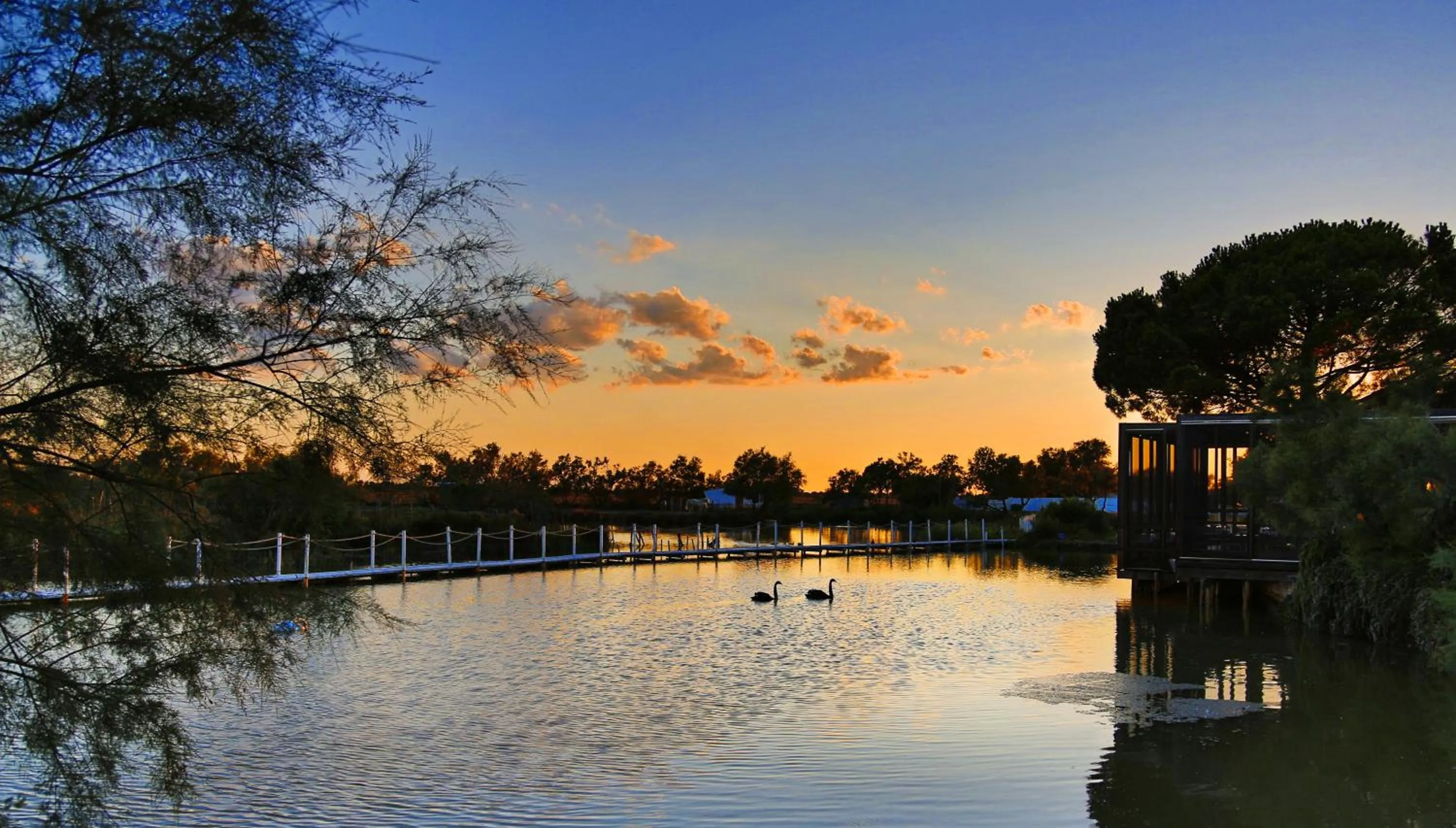 Natural landscape in Mas de la Fouque - Hôtel & Spa