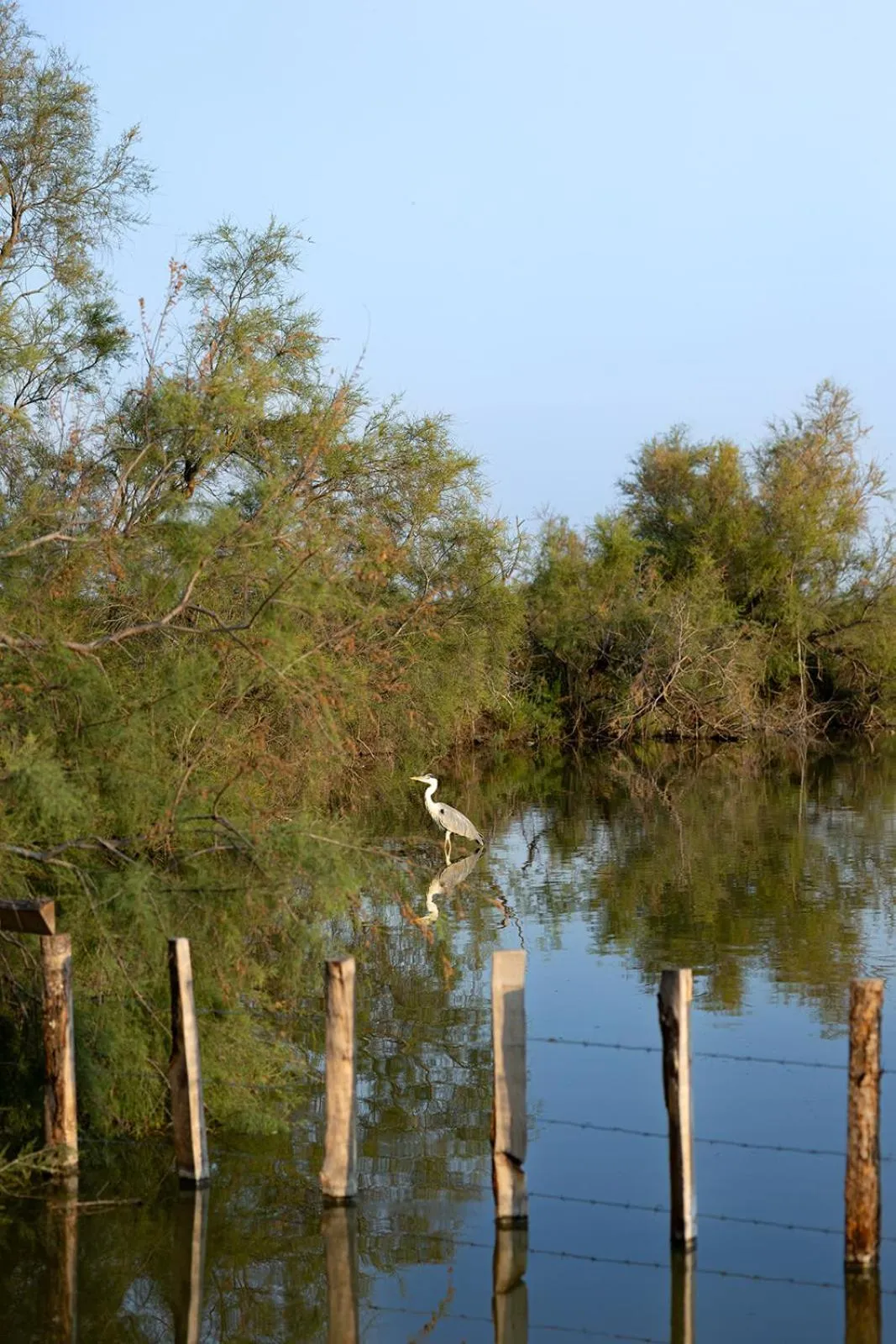 Natural landscape in Mas de la Fouque - Hôtel & Spa
