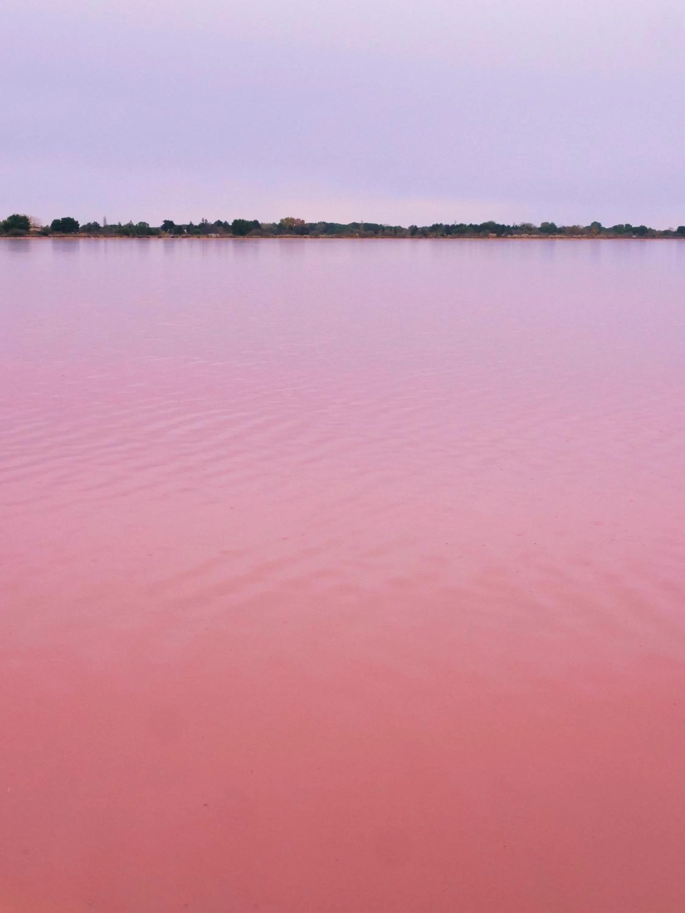 Nearby landmark in Mas de la Fouque - Hôtel & Spa