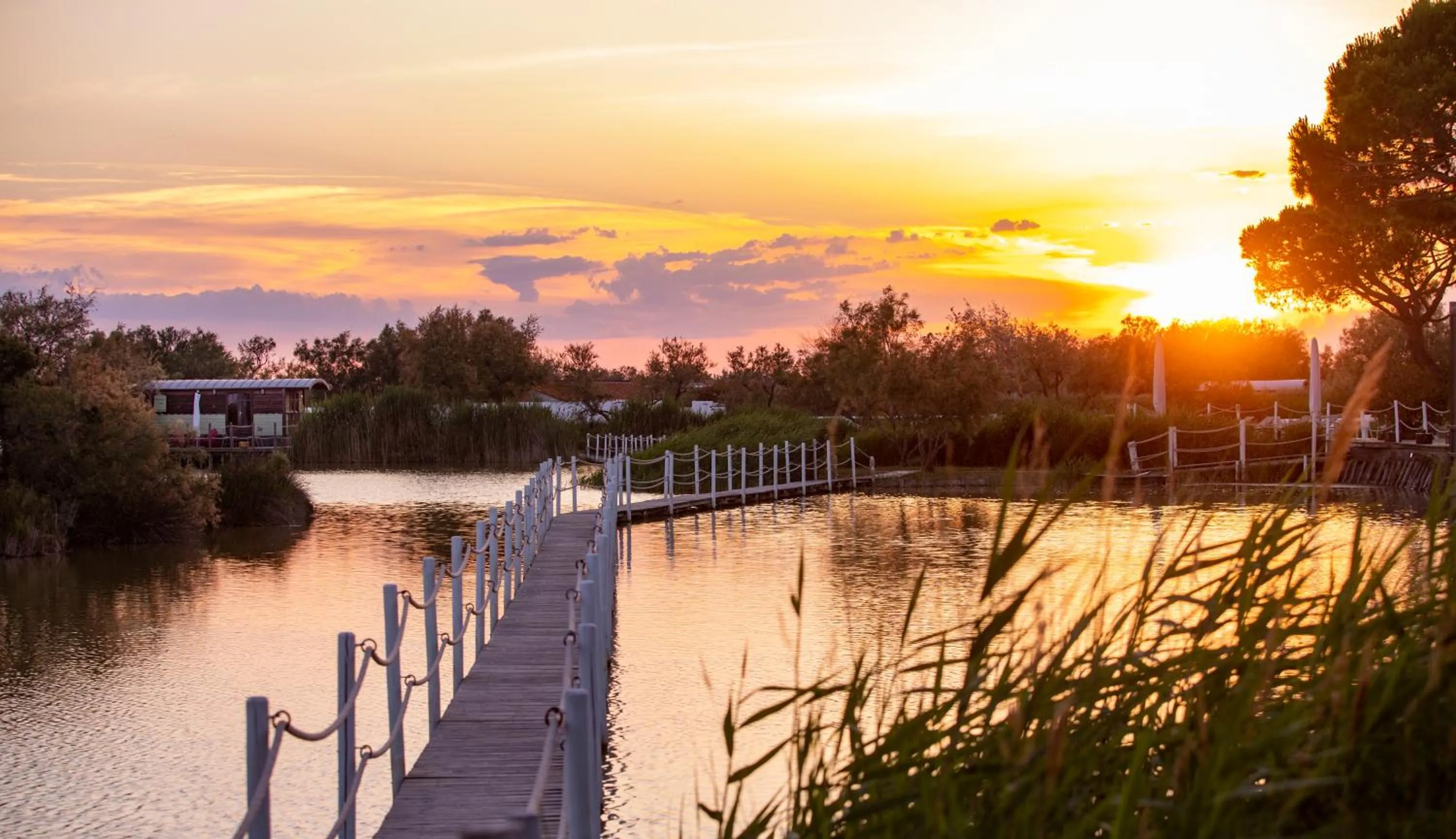 Natural landscape in Mas de la Fouque - Hôtel & Spa
