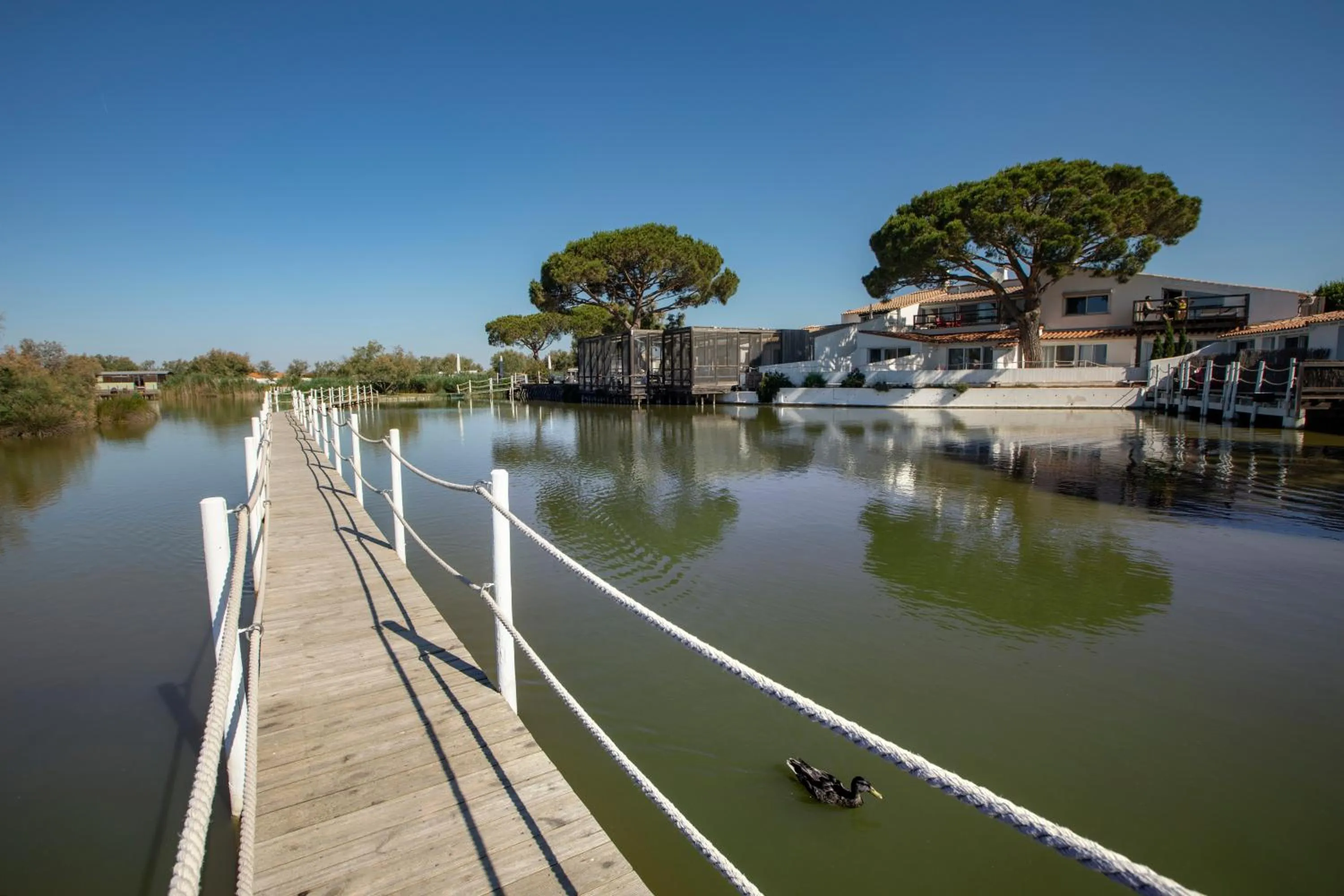Natural landscape in Mas de la Fouque - Hôtel & Spa