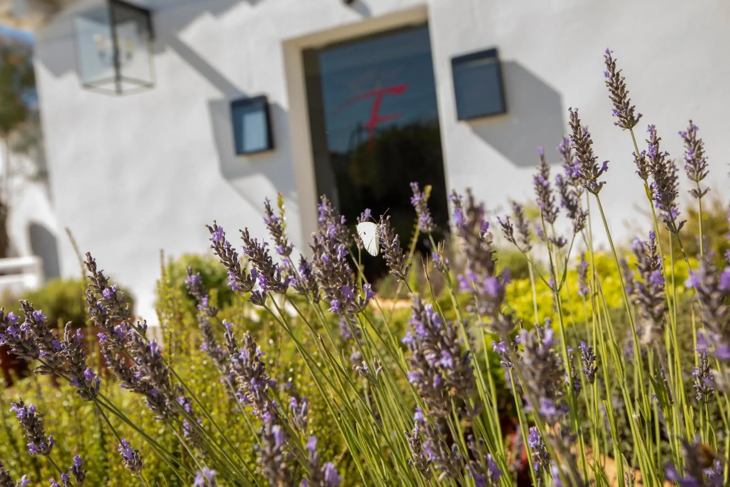 Lobby or reception in Mas de la Fouque - Hôtel & Spa Lobby or reception in Mas de la Fouque - Hôtel & Spa