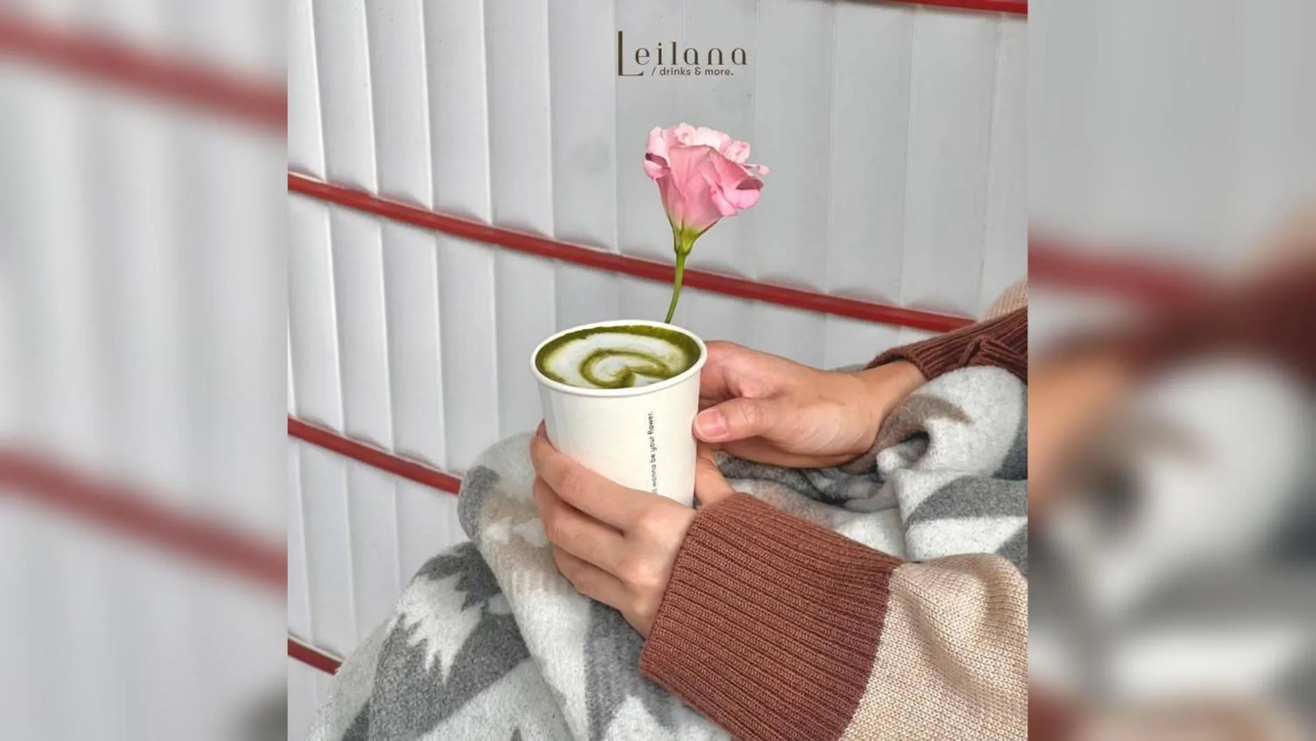 Lounge or bar in Terra Nara