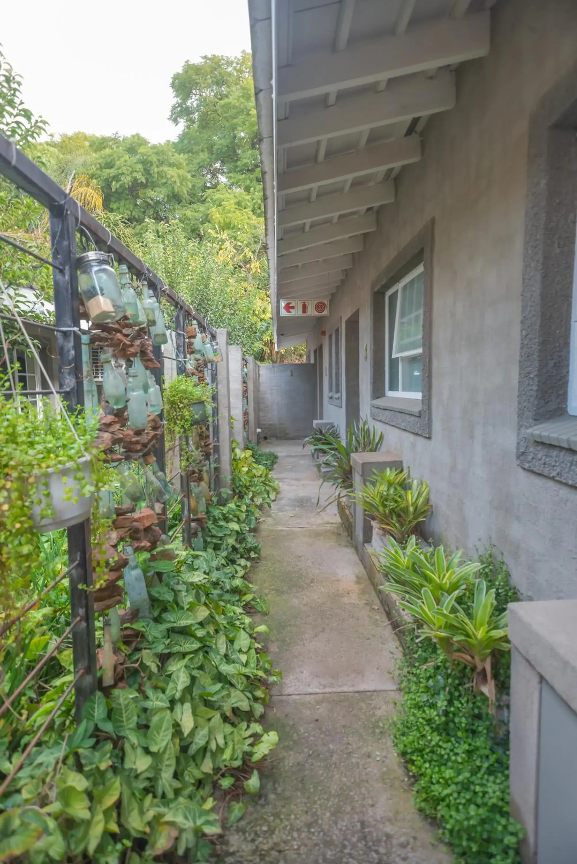 Double Room - single occupancy in Polo Guest House Double Room - single occupancy in Polo Guest House