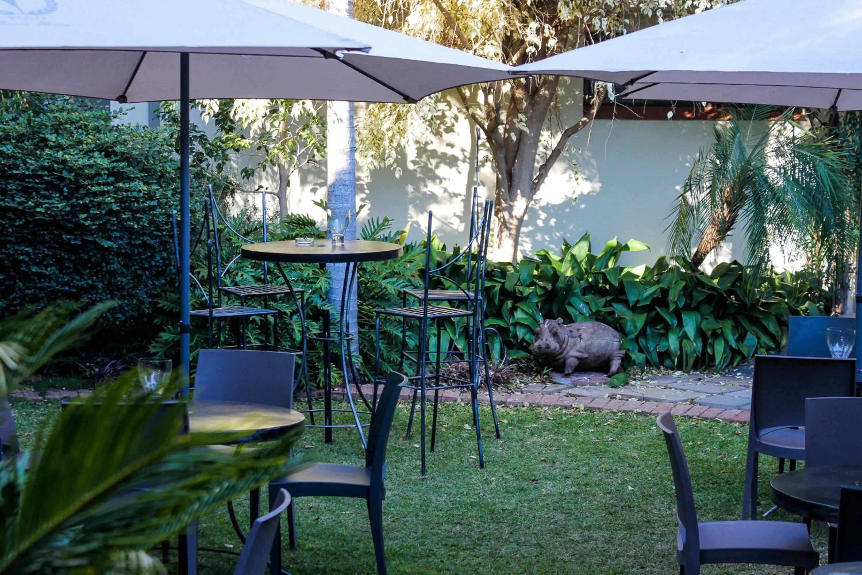 Garden in Polo Guest House