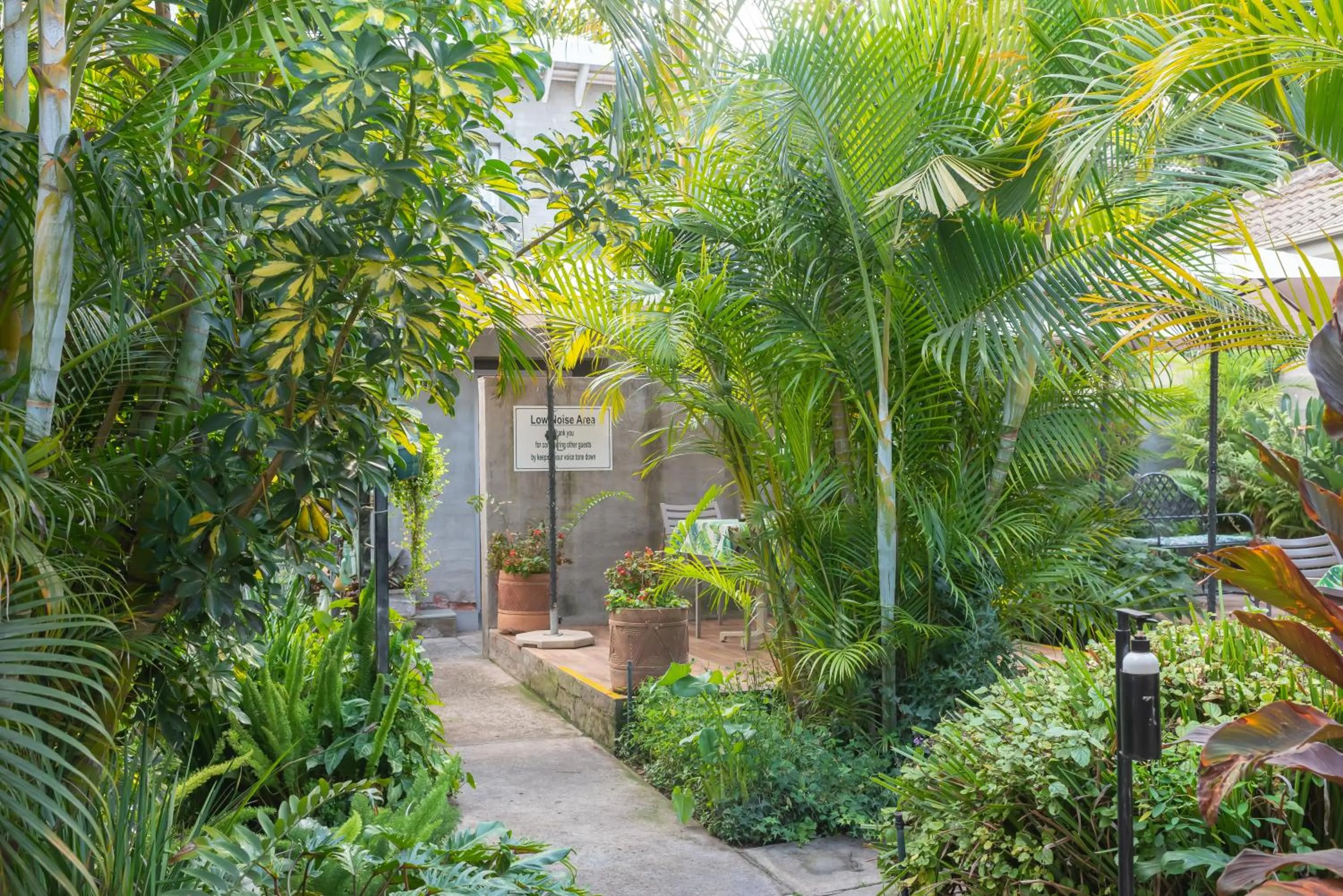 Garden view in Polo Guest House