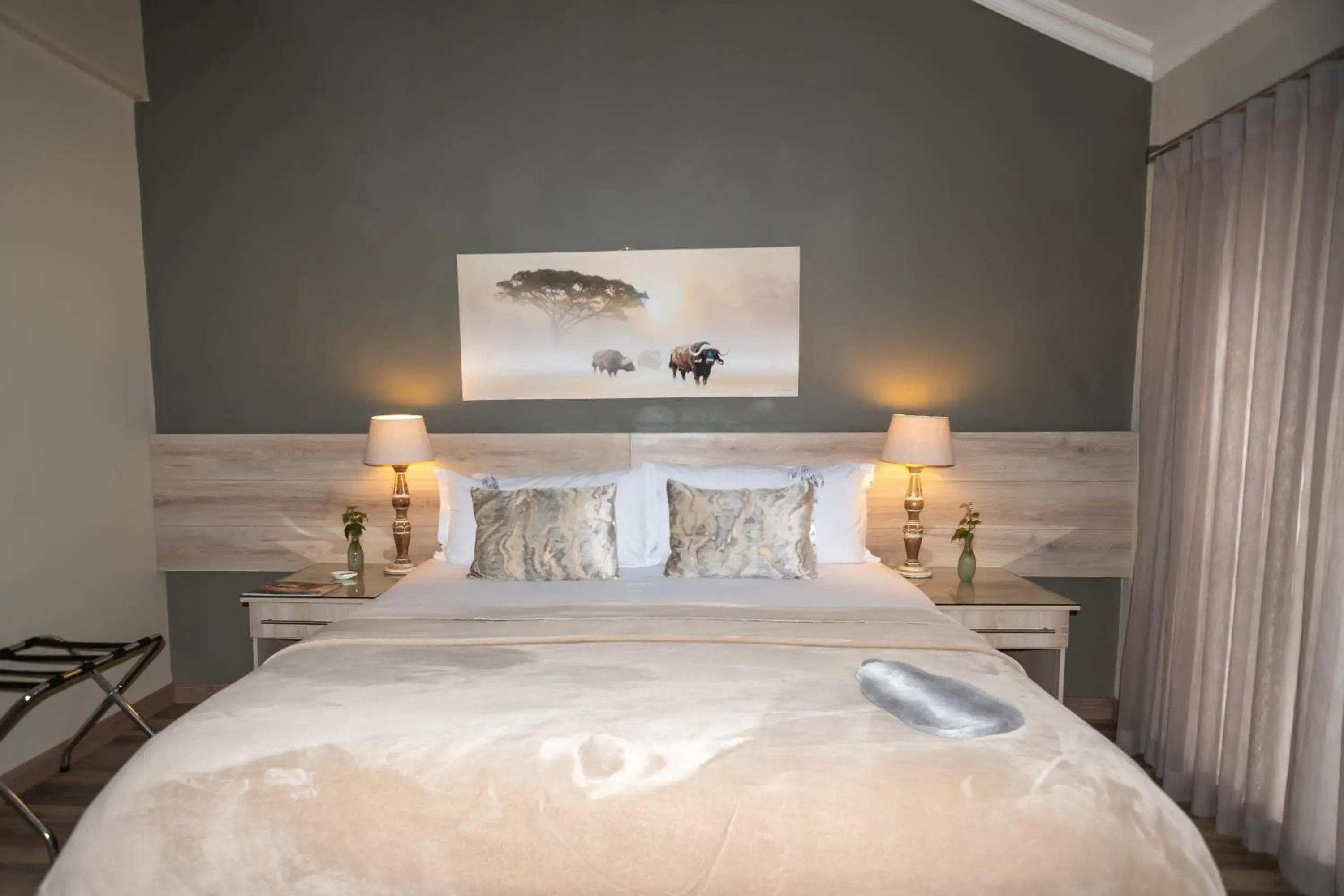 Double Room - single occupancy in Polo Guest House Double Room - single occupancy in Polo Guest House