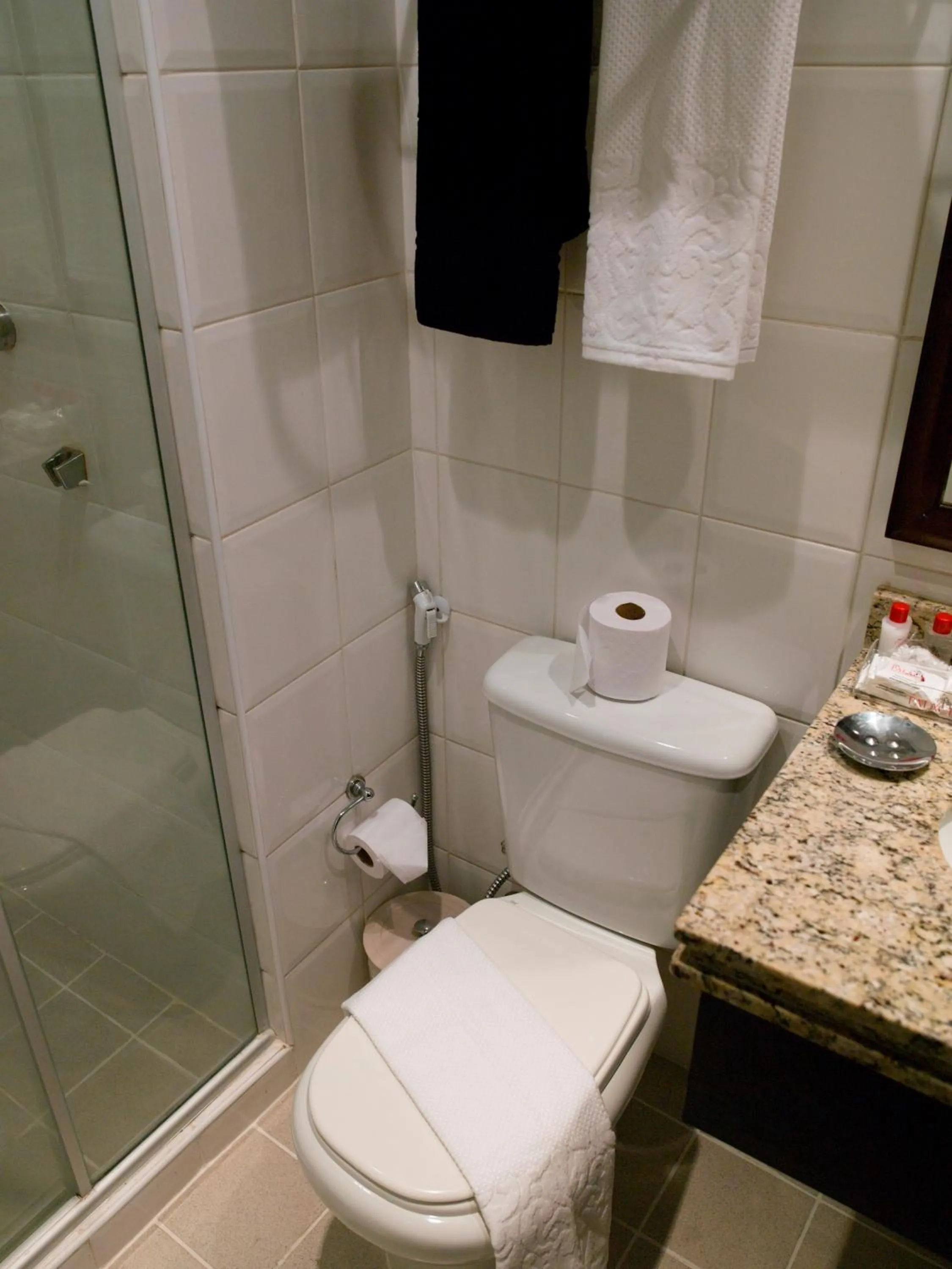 Bathroom in Tsue The Palace Flats