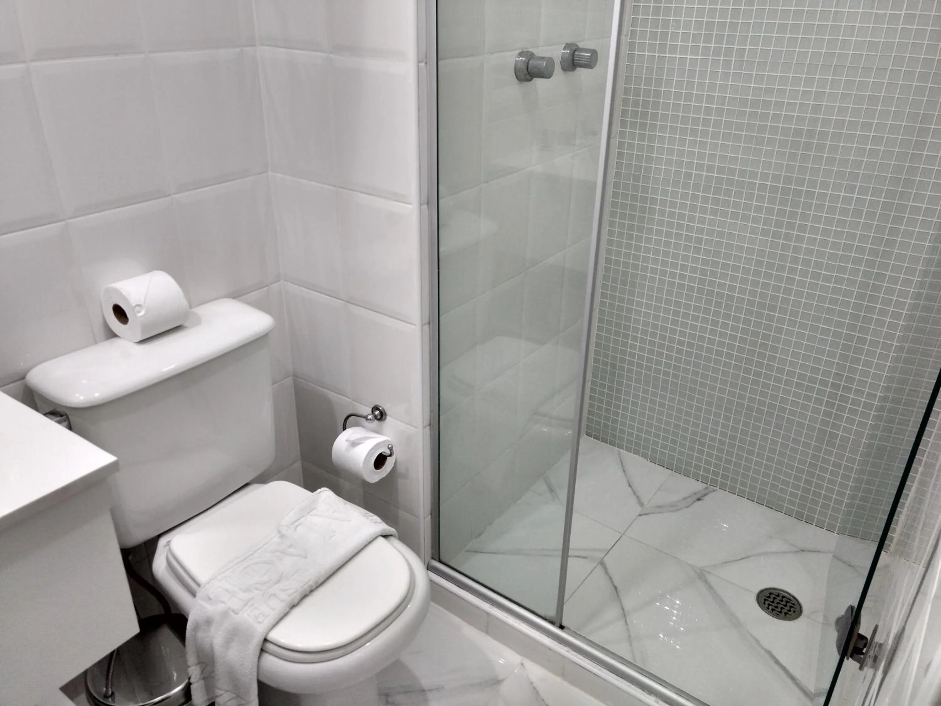 Toilet in Tsue The Palace Flats