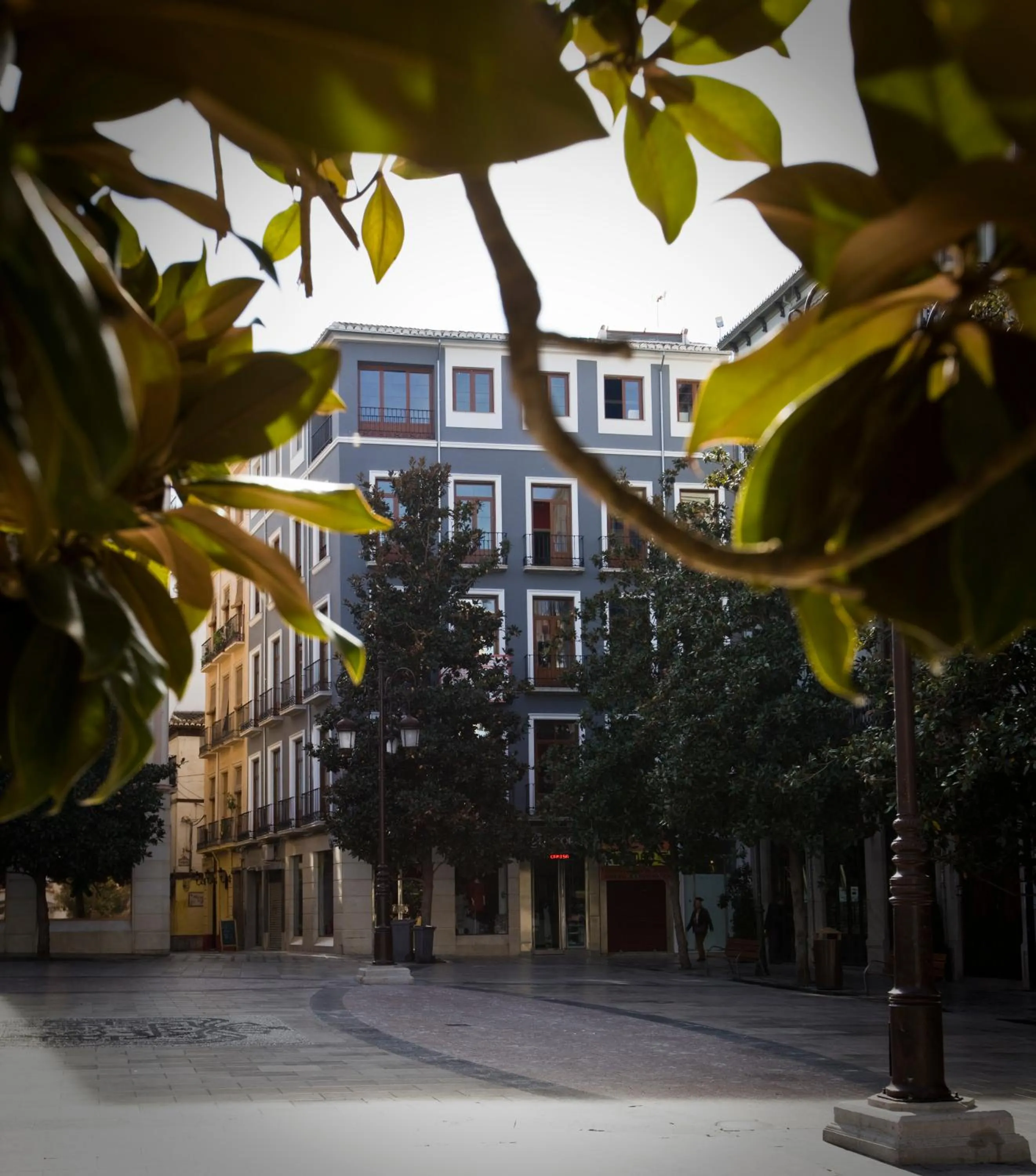 Facade/entrance in Nest Style Granada