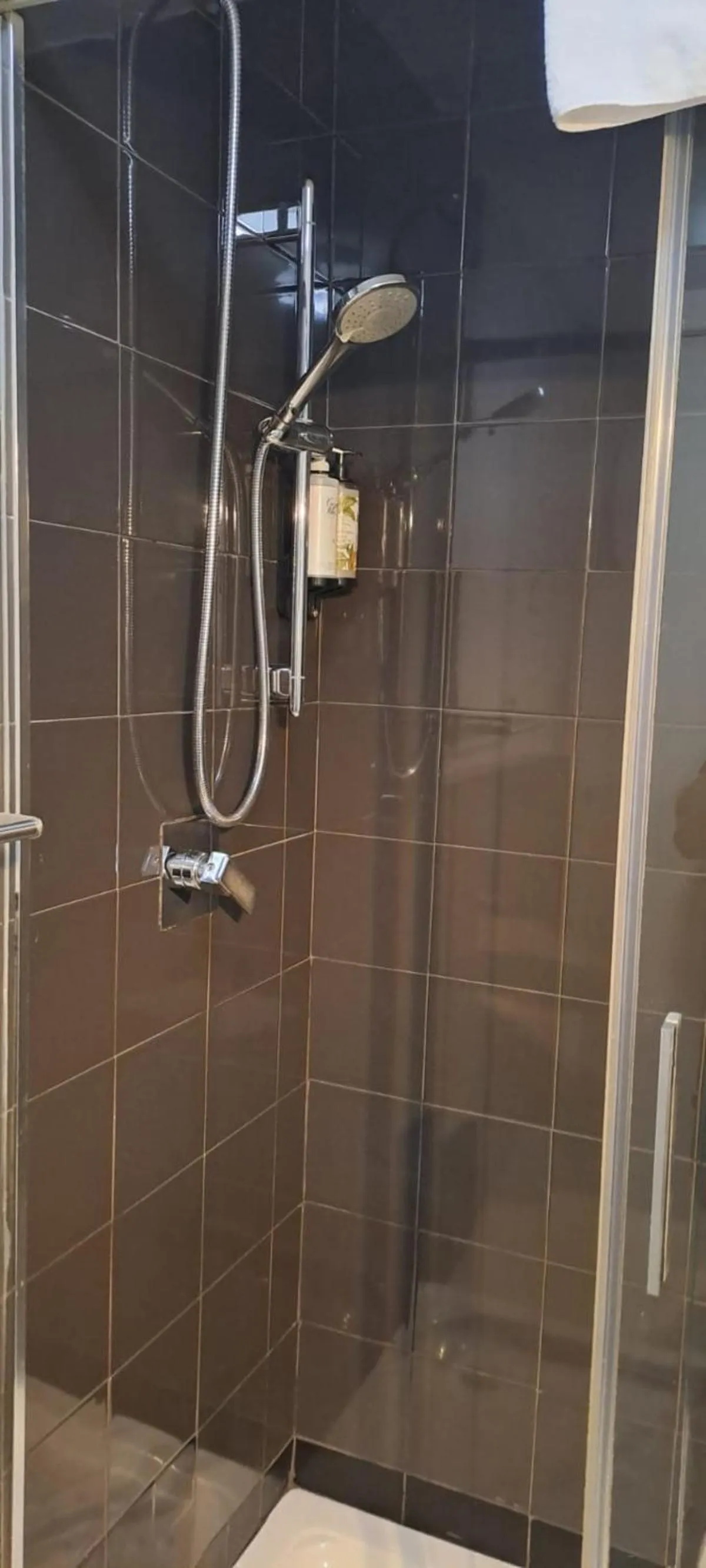 Shower in Nest Style Granada