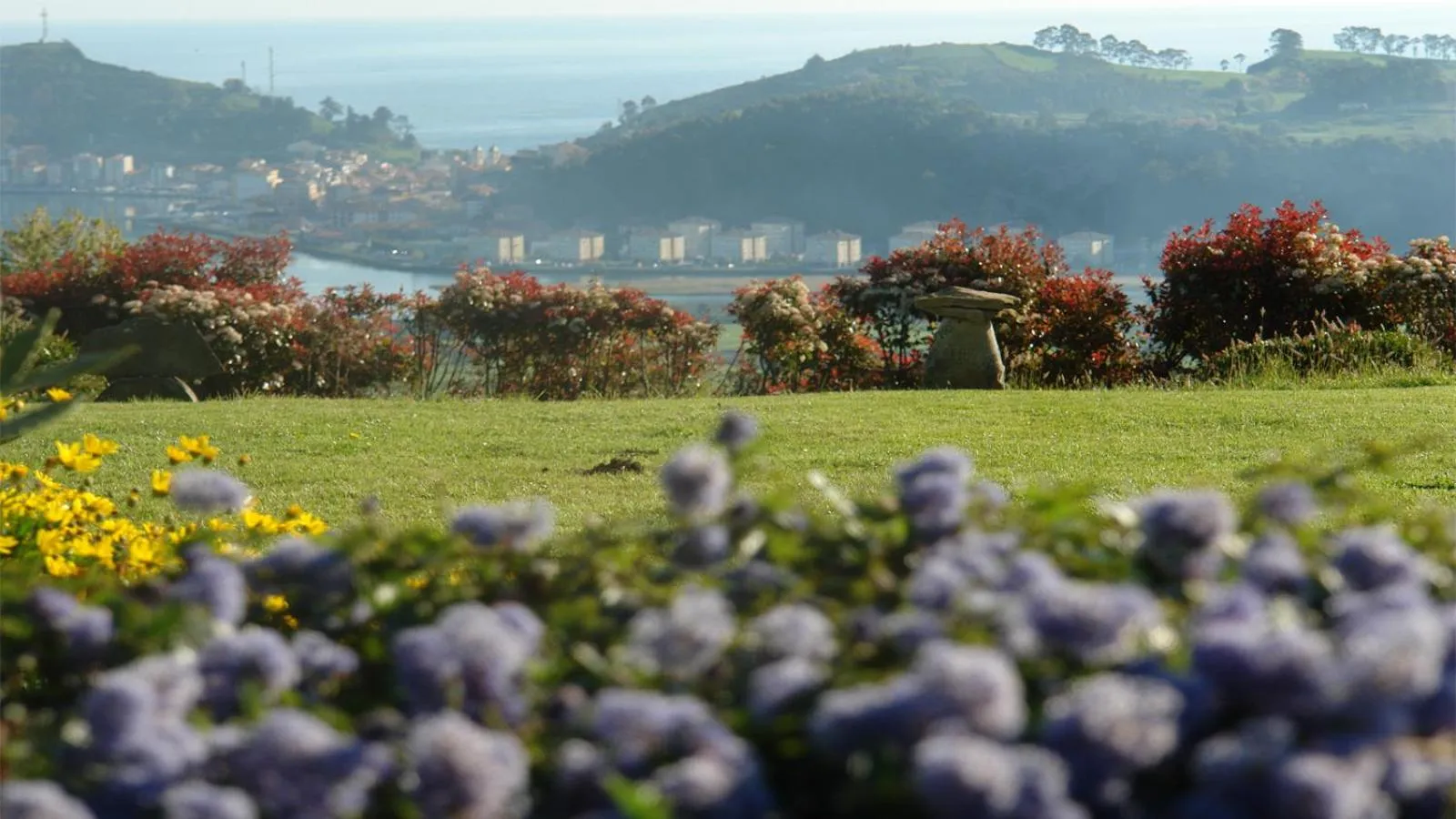 Garden in Paraje del Asturcon - Adults only