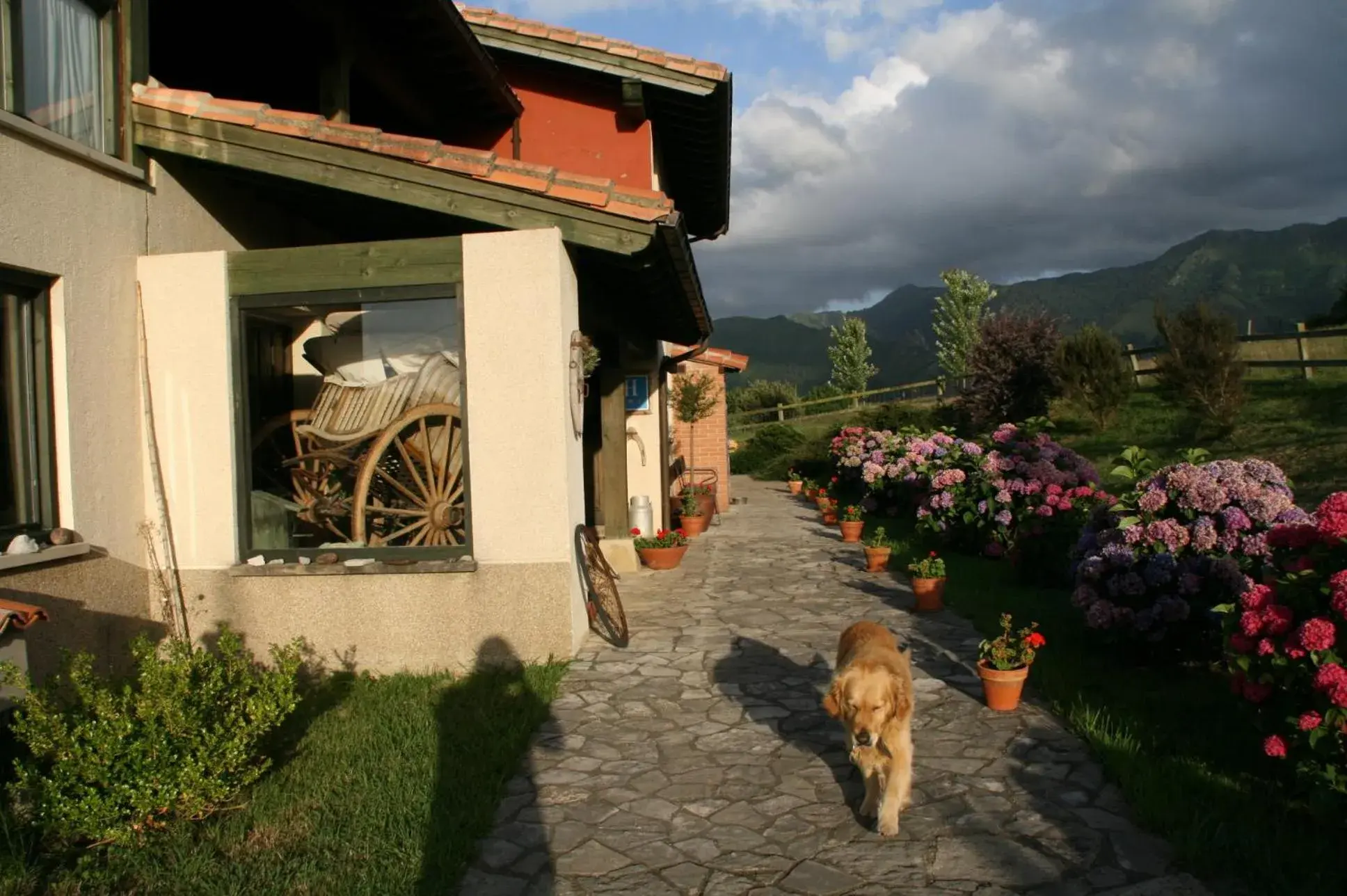 Facade/entrance in Paraje del Asturcon - Adults only Facade/entrance in Paraje del Asturcon - Adults only