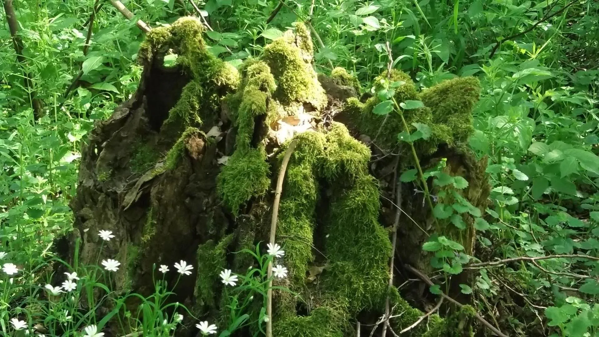 Hiking in Nigel Restaurant & Hotel im Wendland