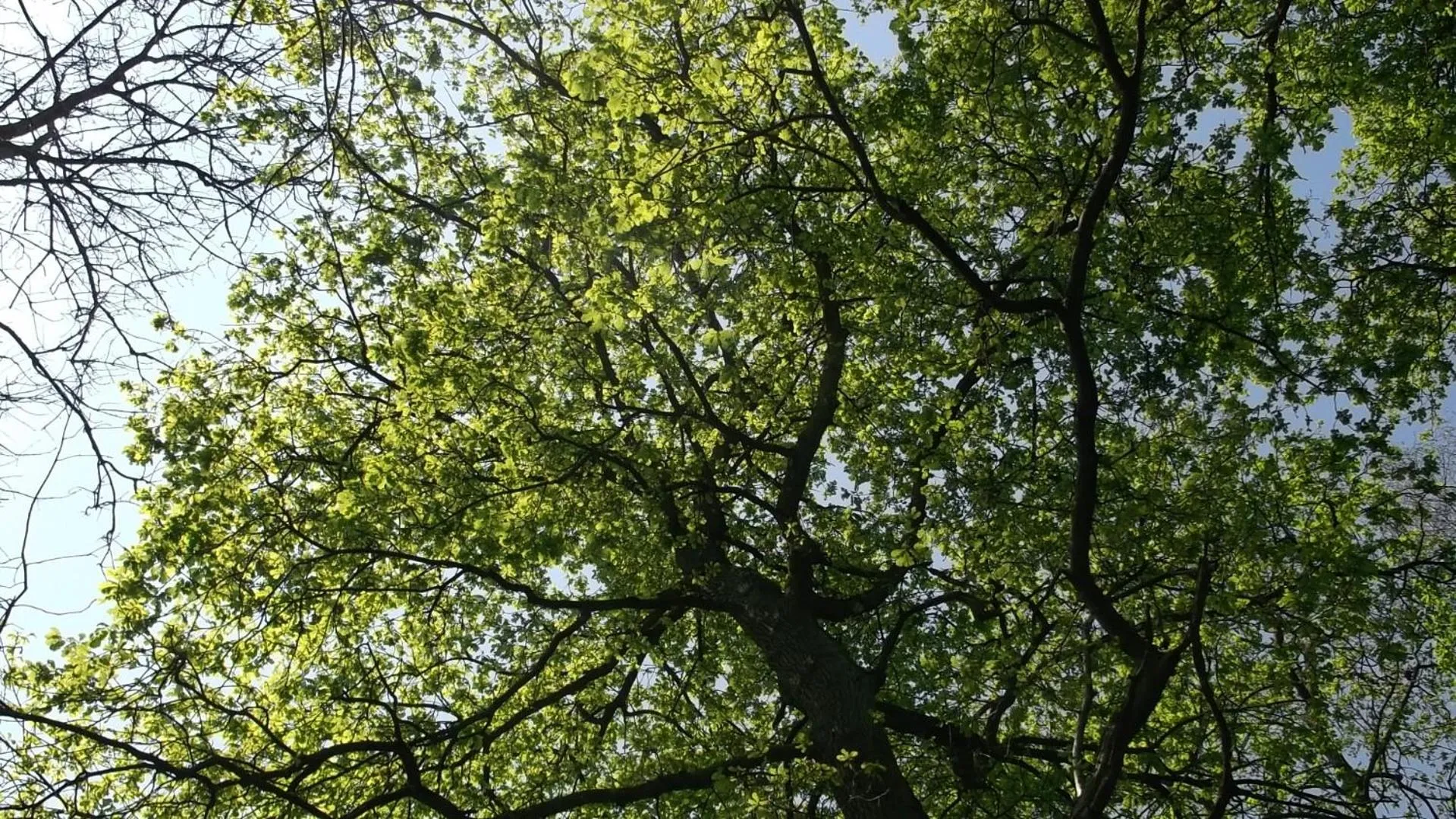 Hiking in Nigel Restaurant & Hotel im Wendland