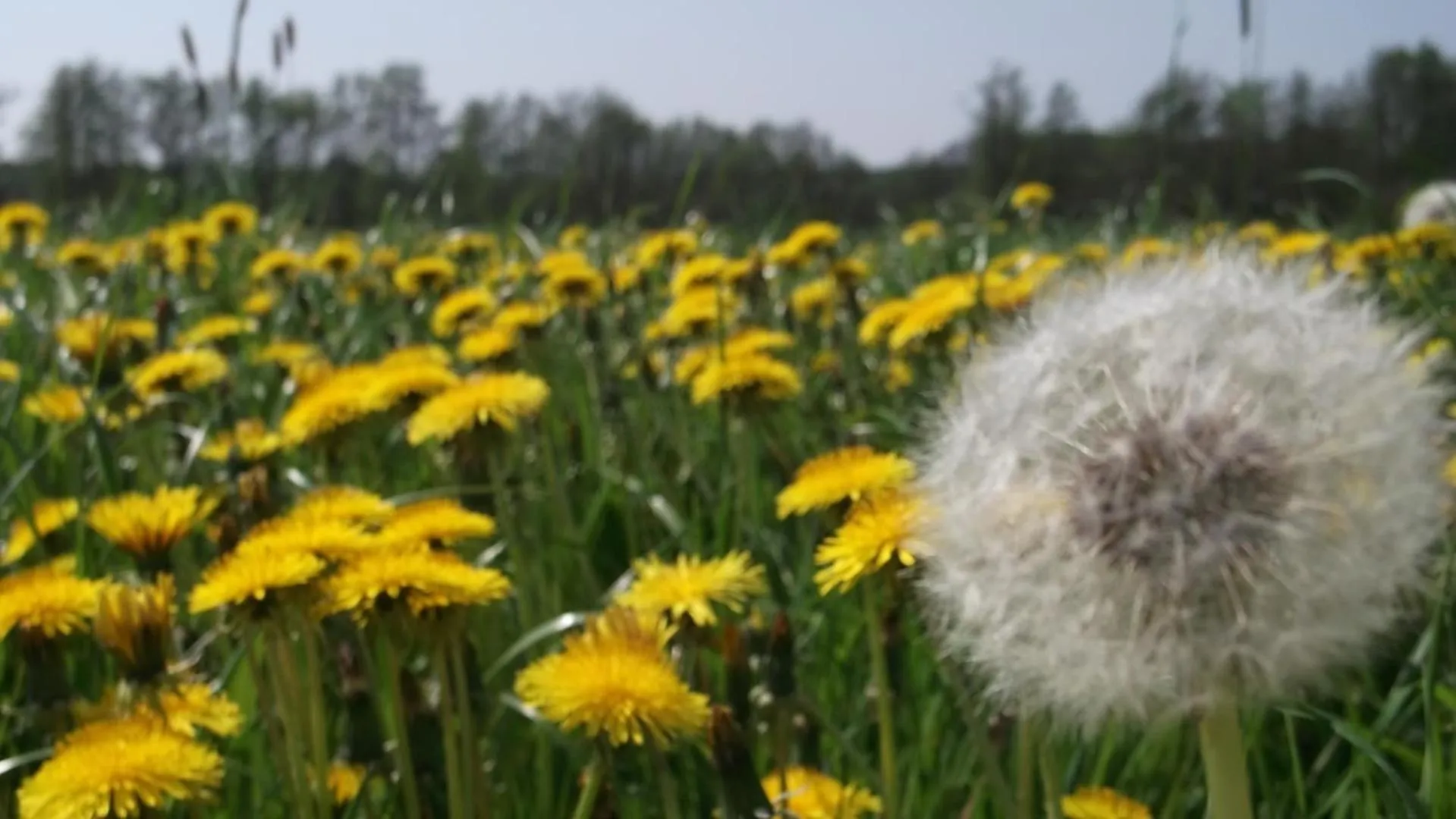 Hiking in Nigel Restaurant & Hotel im Wendland