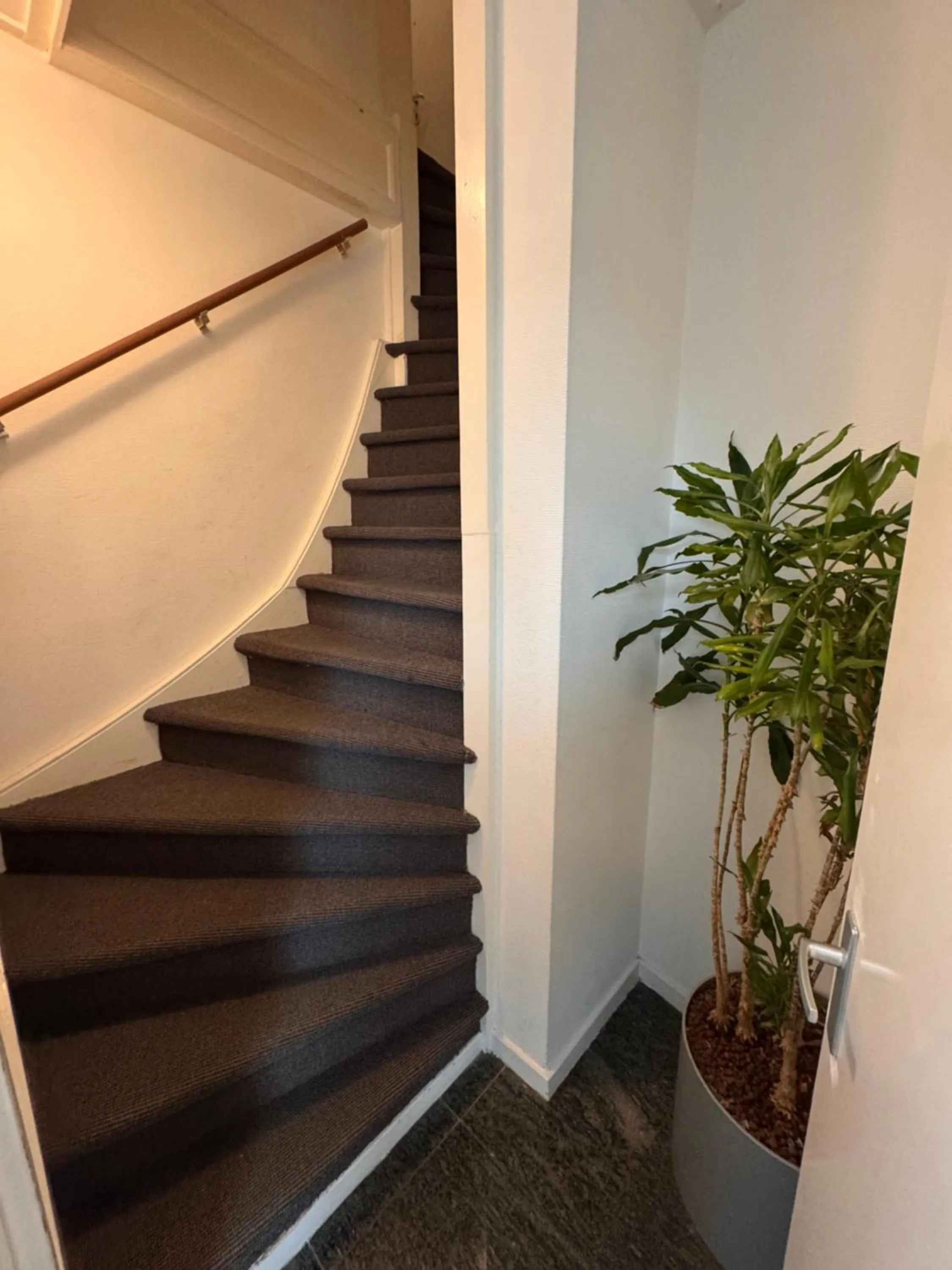 Property building in Stad & Strandhotel Elisabeth