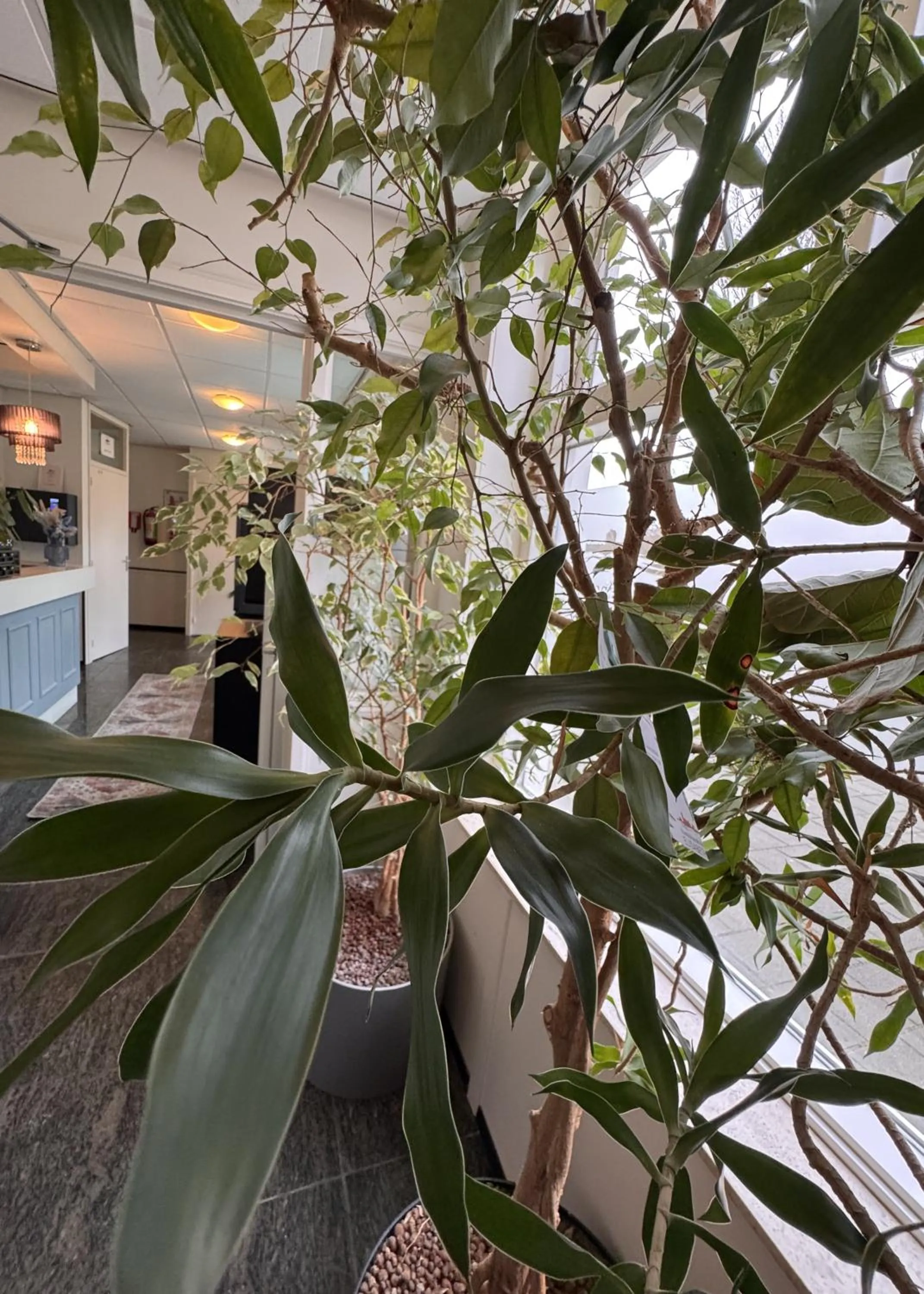 Lobby or reception in Stad & Strandhotel Elisabeth