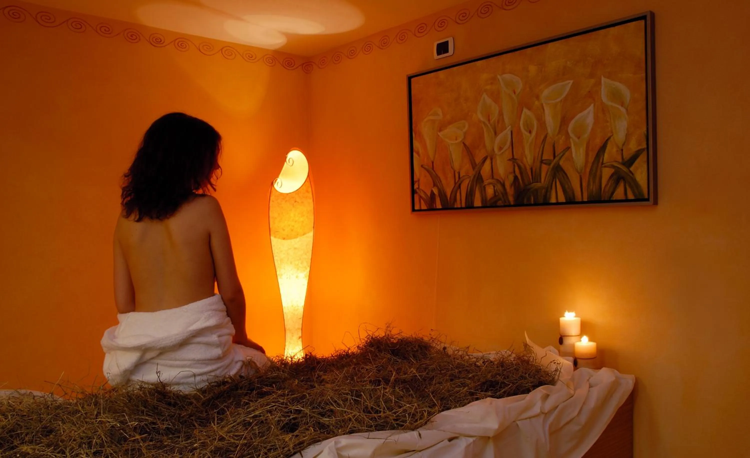 Spa and wellness centre/facilities in Hotel Medil