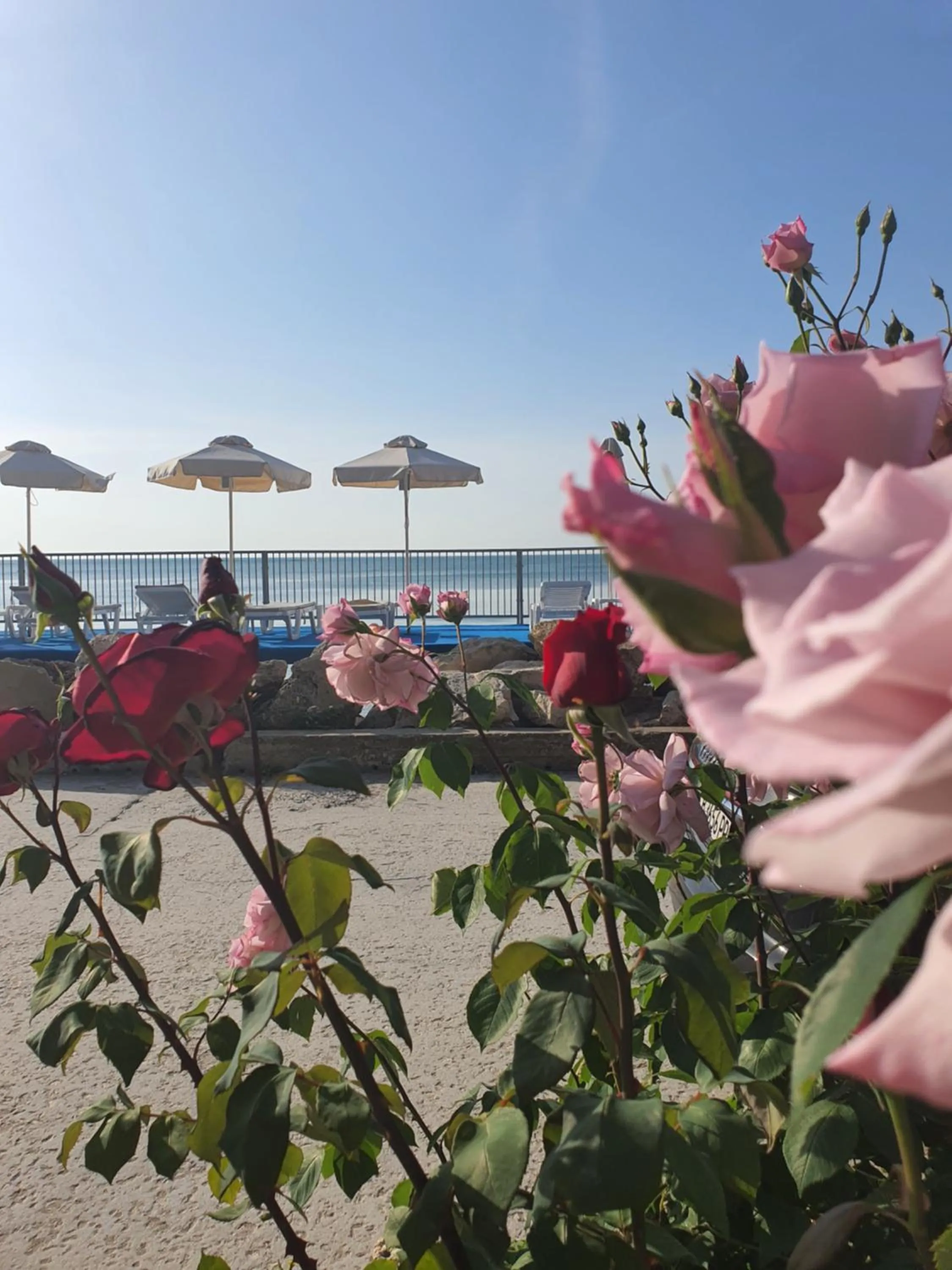 Garden in Regina Maria Spa Design Hotel