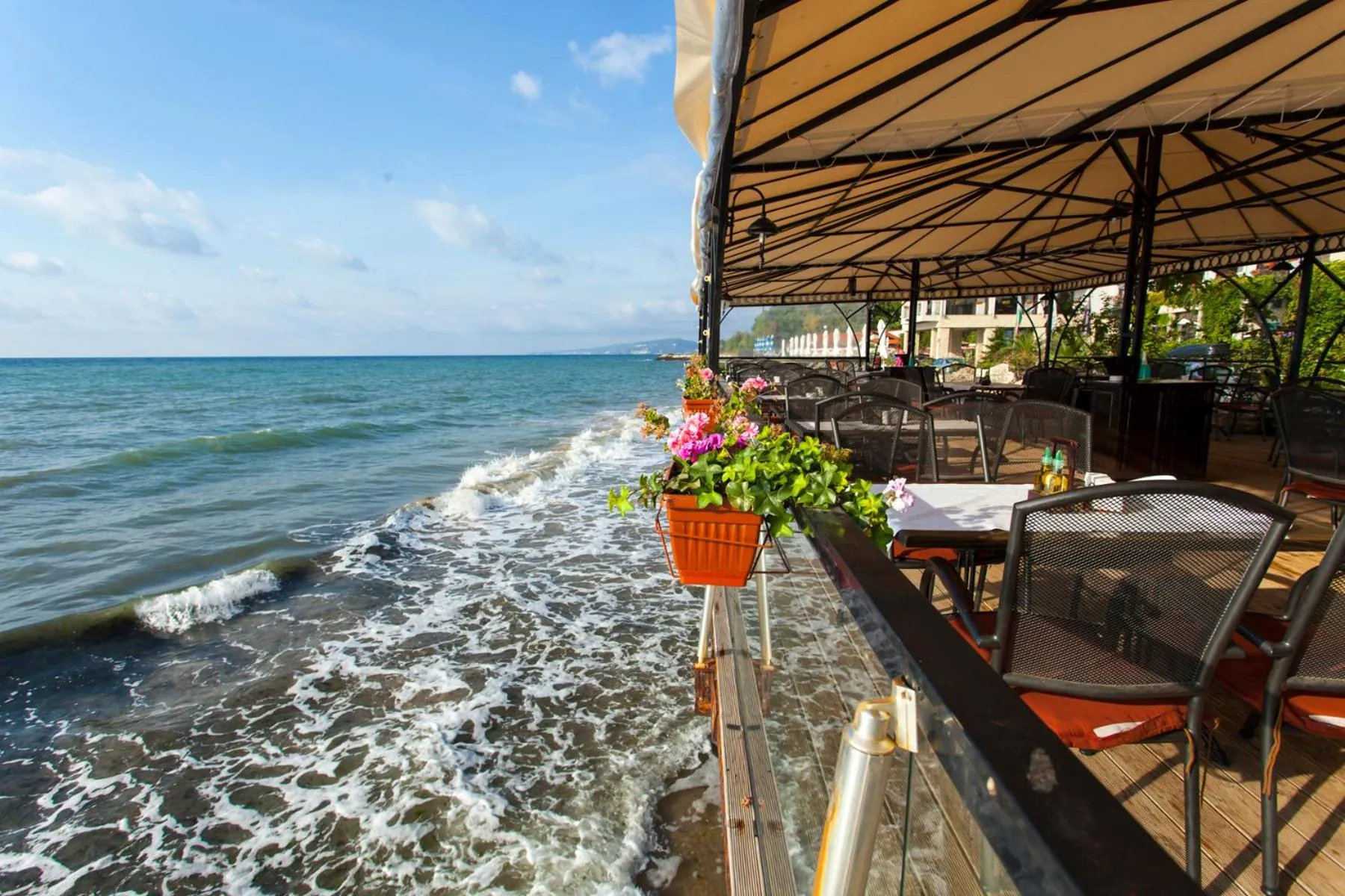 Balcony/Terrace in Regina Maria Spa Design Hotel