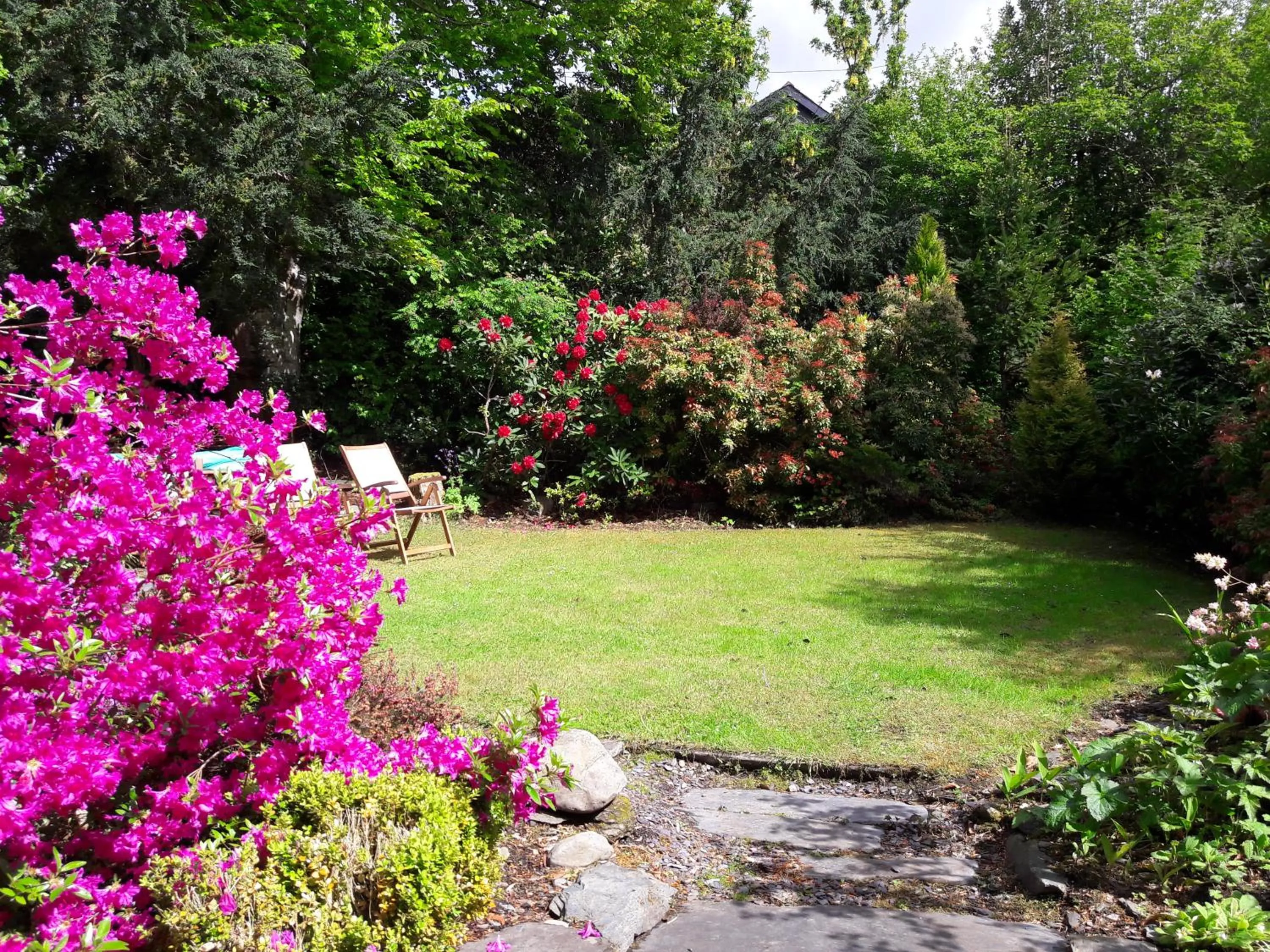 Garden in Ty Capel Isa